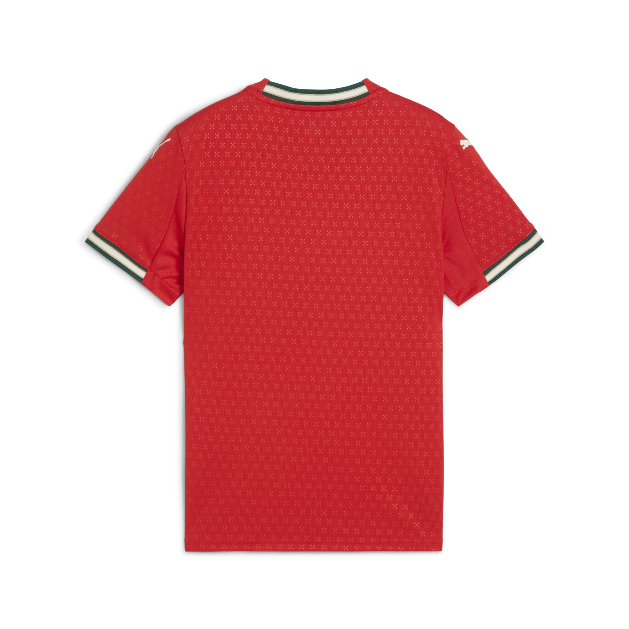 PUMA Trainingsshirt »Portugal 2025 Heimtrikot Jugendliche«