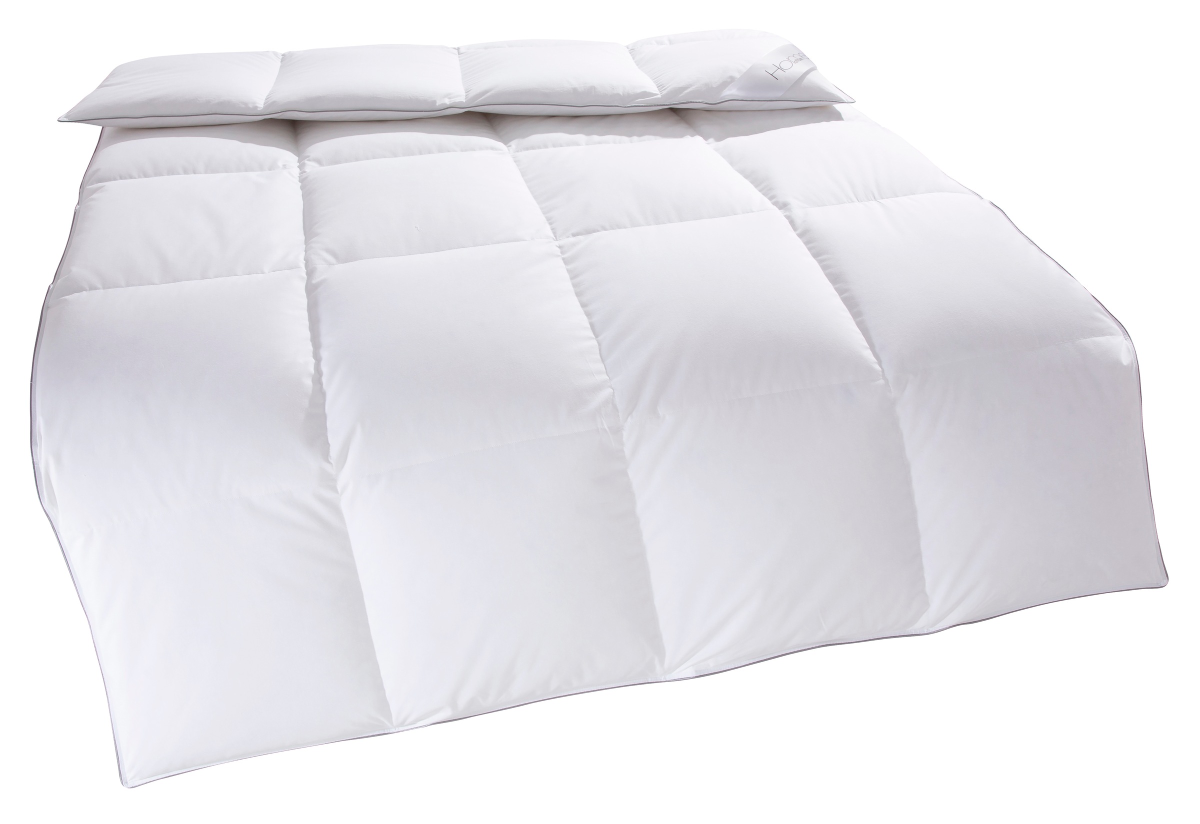 Home affaire Daunenbettdecke "Tamins, Bettdecke 135x200 cm, 155x220 cm, Mad günstig online kaufen