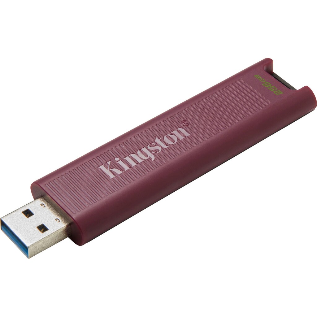 Kingston USB-Stick »DATATRAVELER MAX SERIE 256GB«, (USB 3.2 Lesegeschwindigkeit 1000 MB/s)