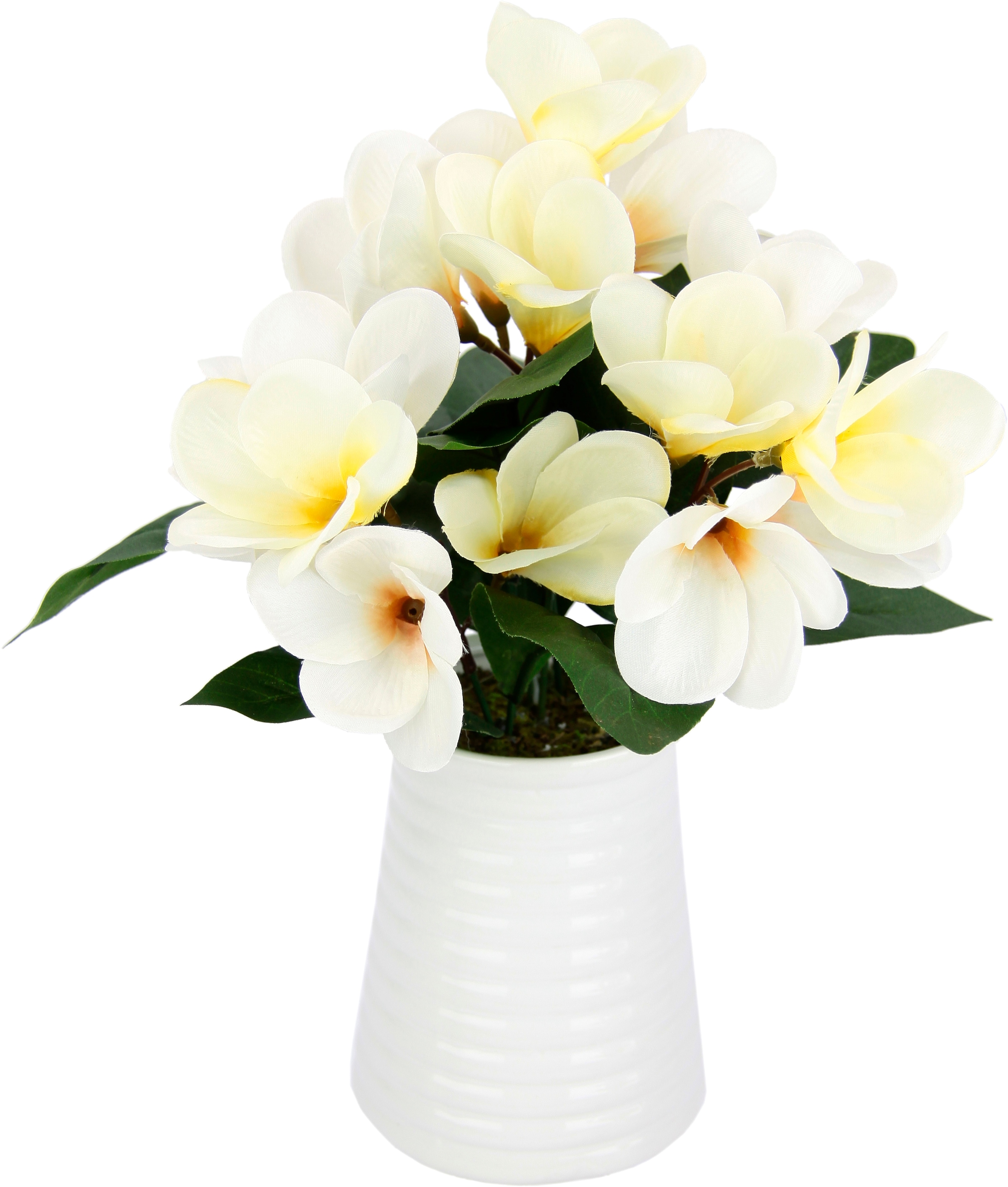 Kunstblume »Frangipani in Vase aus Keramik«