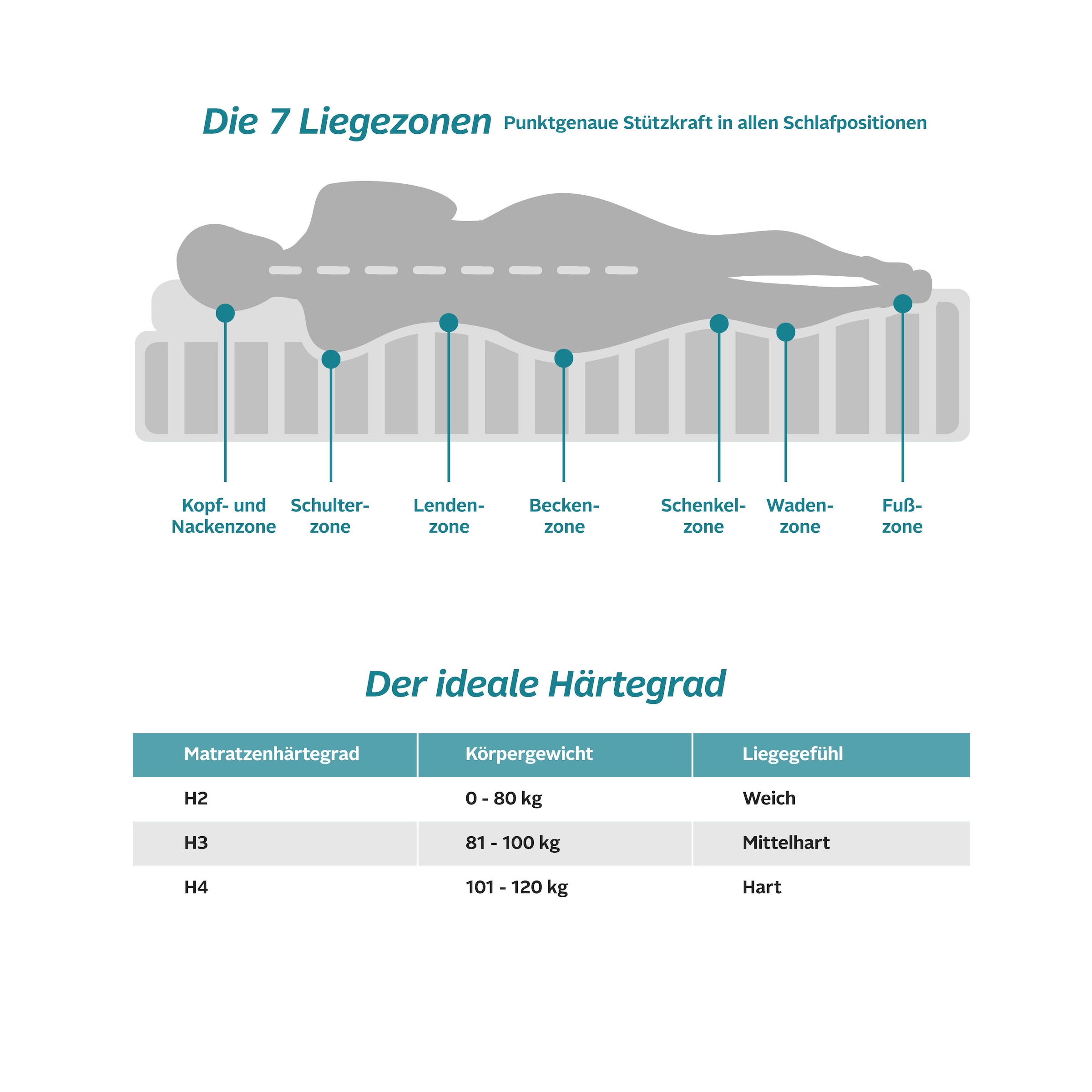 fan Taschenfederkernmatratze »Loona, 7 Zonen Matratze 90x200 cm, 140x200 cm & weitere Größen,«, 24 cm hoch, 420 Federn, (1 St., 1-tlg.), Matratzen H2-H4, ergonomisch, atmungsaktiv, 420 Federn bei 100x200 cm