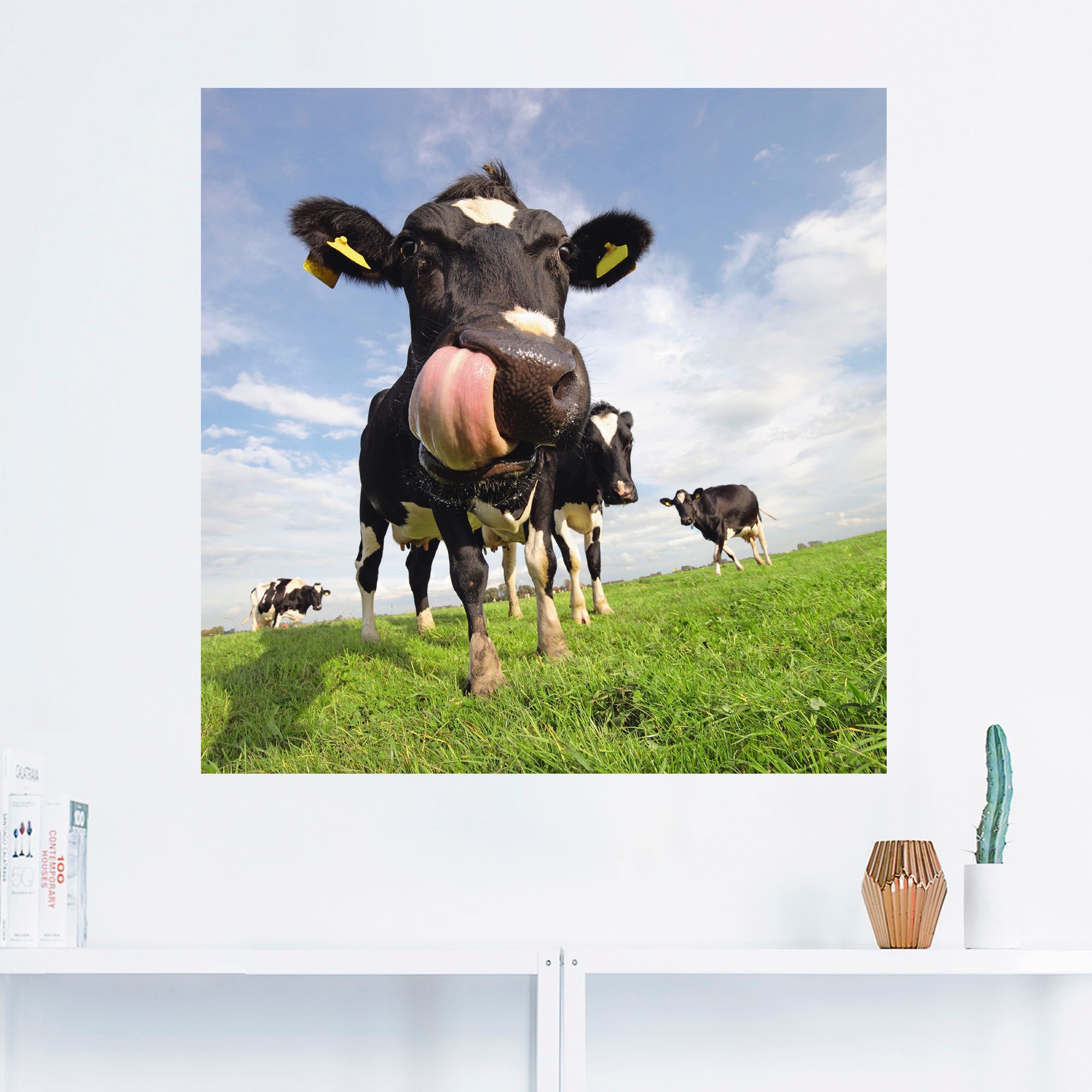 Artland Wandbild »Holstein-Kuh mit gewaltiger Zunge«, Haustiere, (1 St.), als Alubild, Outdoorbild, Leinwandbild, Poster, Wandaufkleber