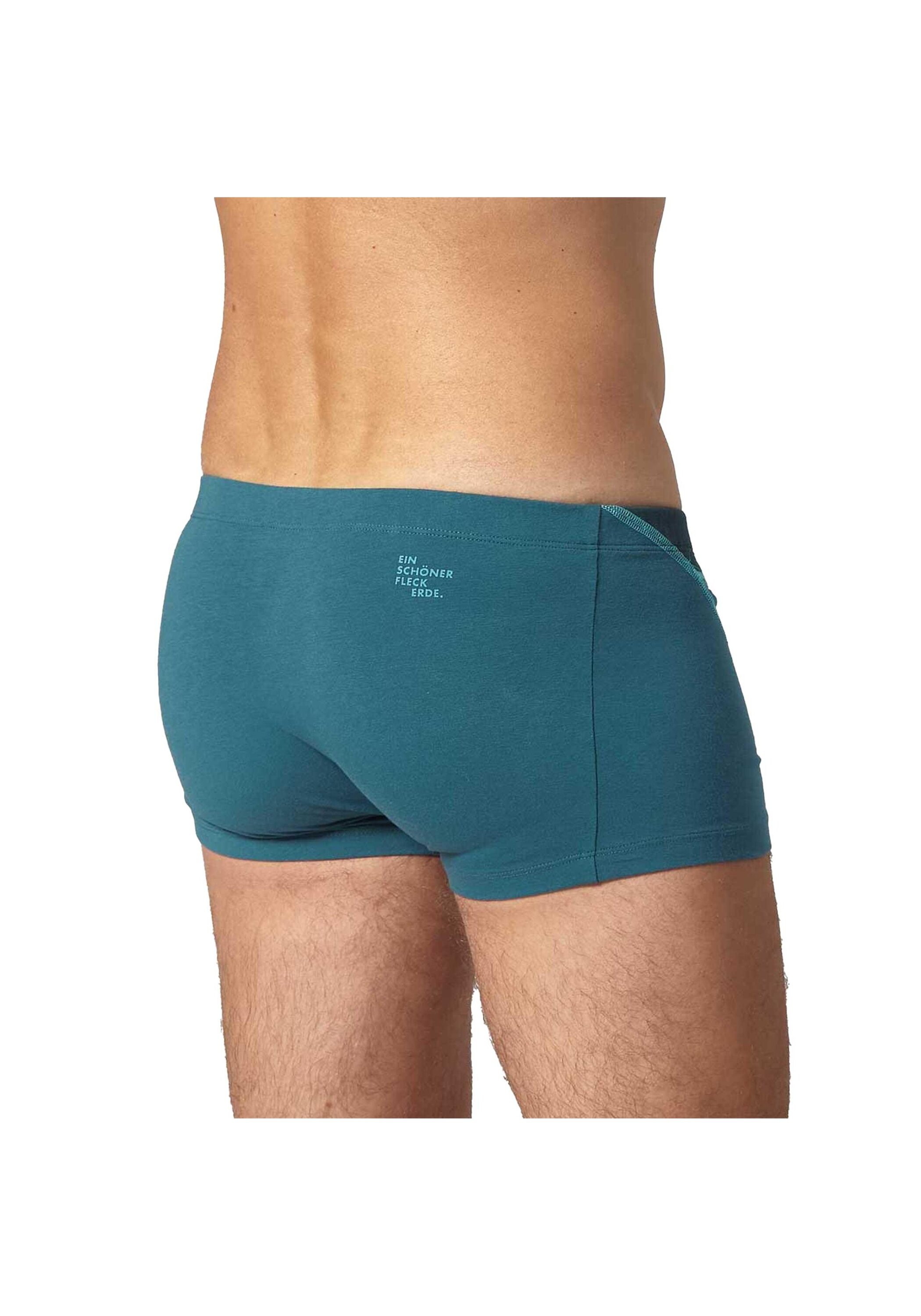 EIN SCHÖNER FLECK ERDE Boxershorts »Boxershort 1er Pack«