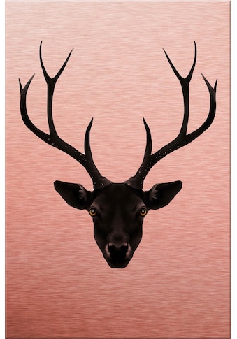 Wall-Art Metallbild »Ireland The Black Deer Sch...