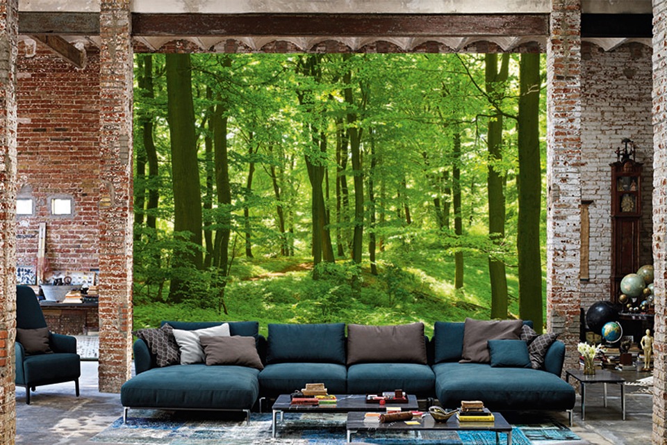 Papermoon Fototapete »Forest in Spring«