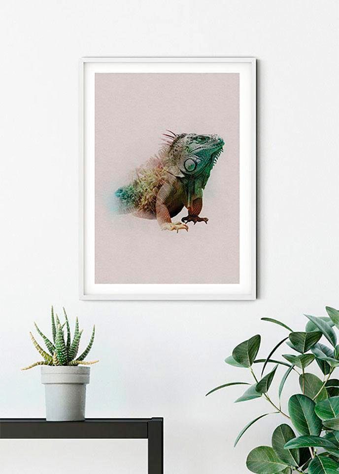 Komar Poster "Animals Paradise Iguana", Tiere, (1 St.), Kinderzimmer, Schlafzimmer, Wohnzimmer