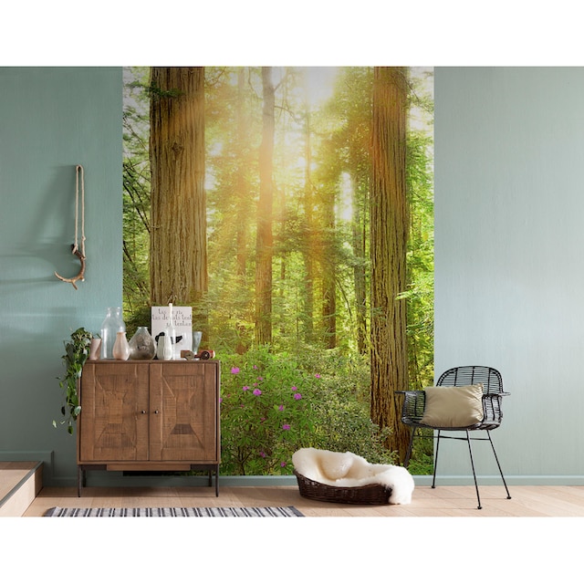 Komar Fototapete »Redwood«, Motiv, Vlies, Wand günstig | BAUR