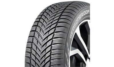 Firestone Ganzjahresreifen »FIRESTONE«, (1 St.), VANHAWK MULTISEASON online  kaufen | BAUR