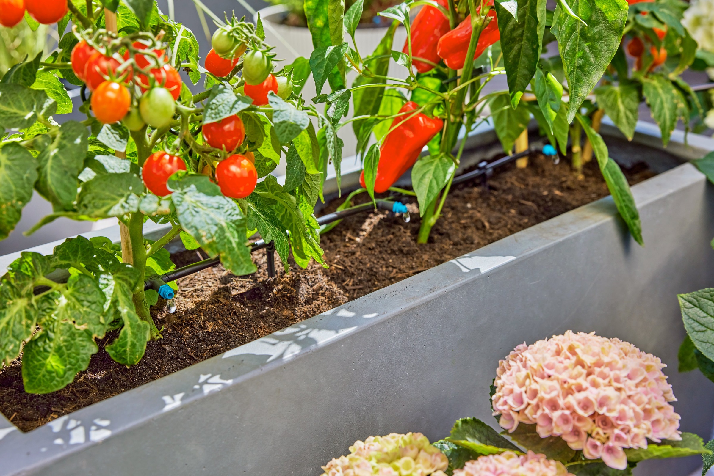 GARDENA Bewässerungssystem »Tropfbewässerung Set« ()  Startset für bis zu 30 Terrassenpflanzen