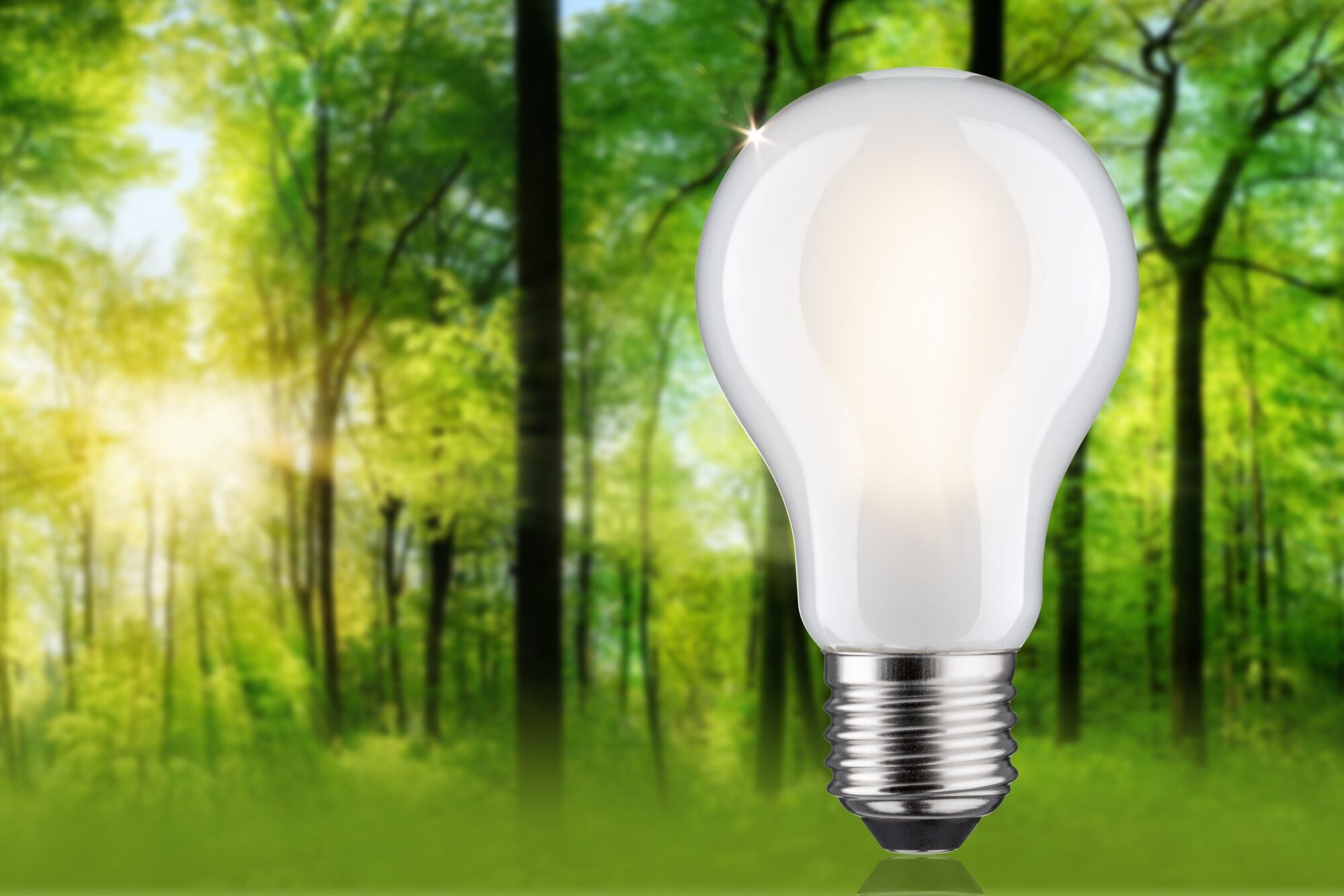 Paulmann LED-Leuchtmittel »Eco-Line Filament 230V LED Birne E27 470lm 2,5W 3000K dimmbar Matt«, E27, 1 St., Warmweiß