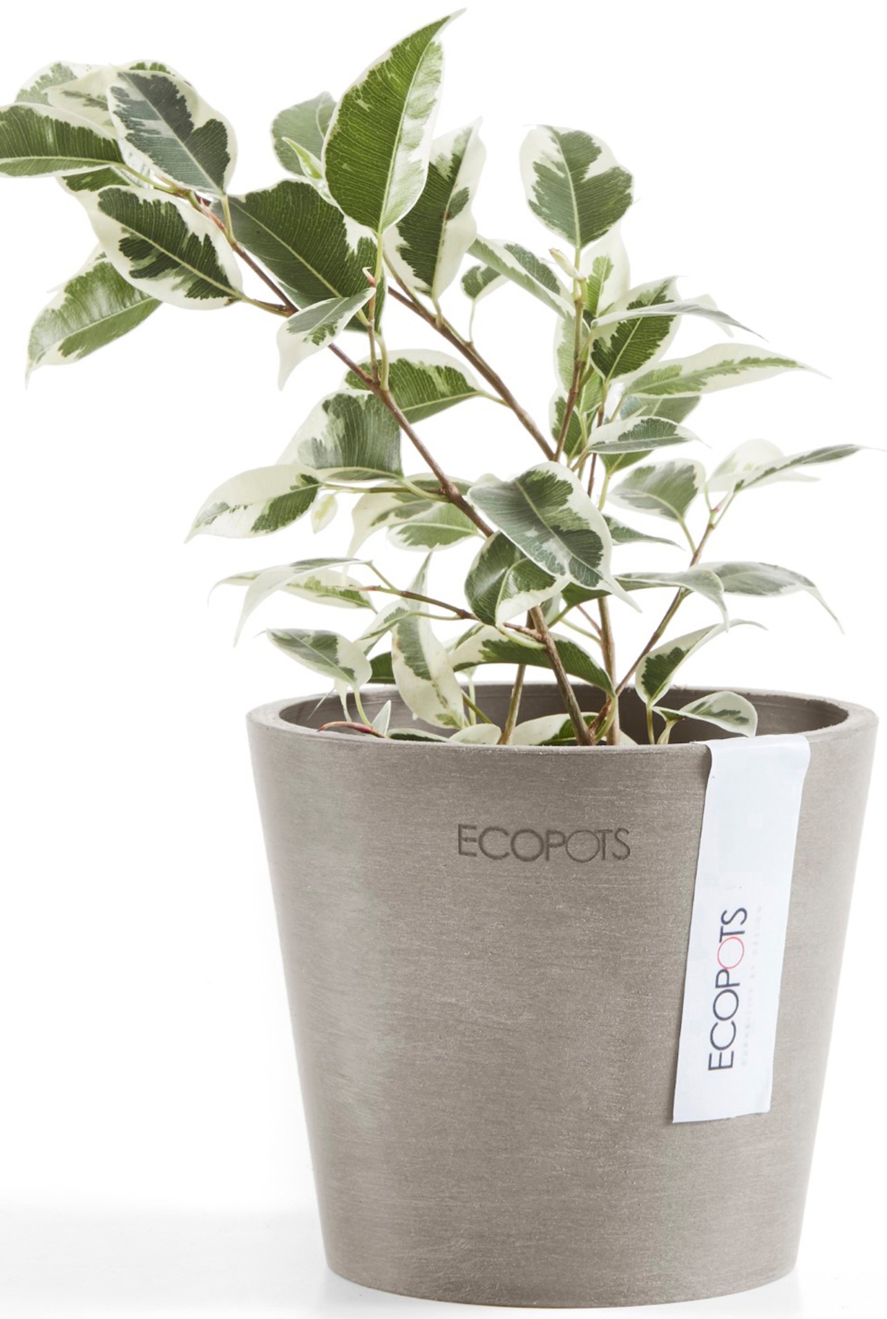 ECOPOTS Blumentopf »Amsterdam Mini 10,5 Taupe«, für den Innenbereich