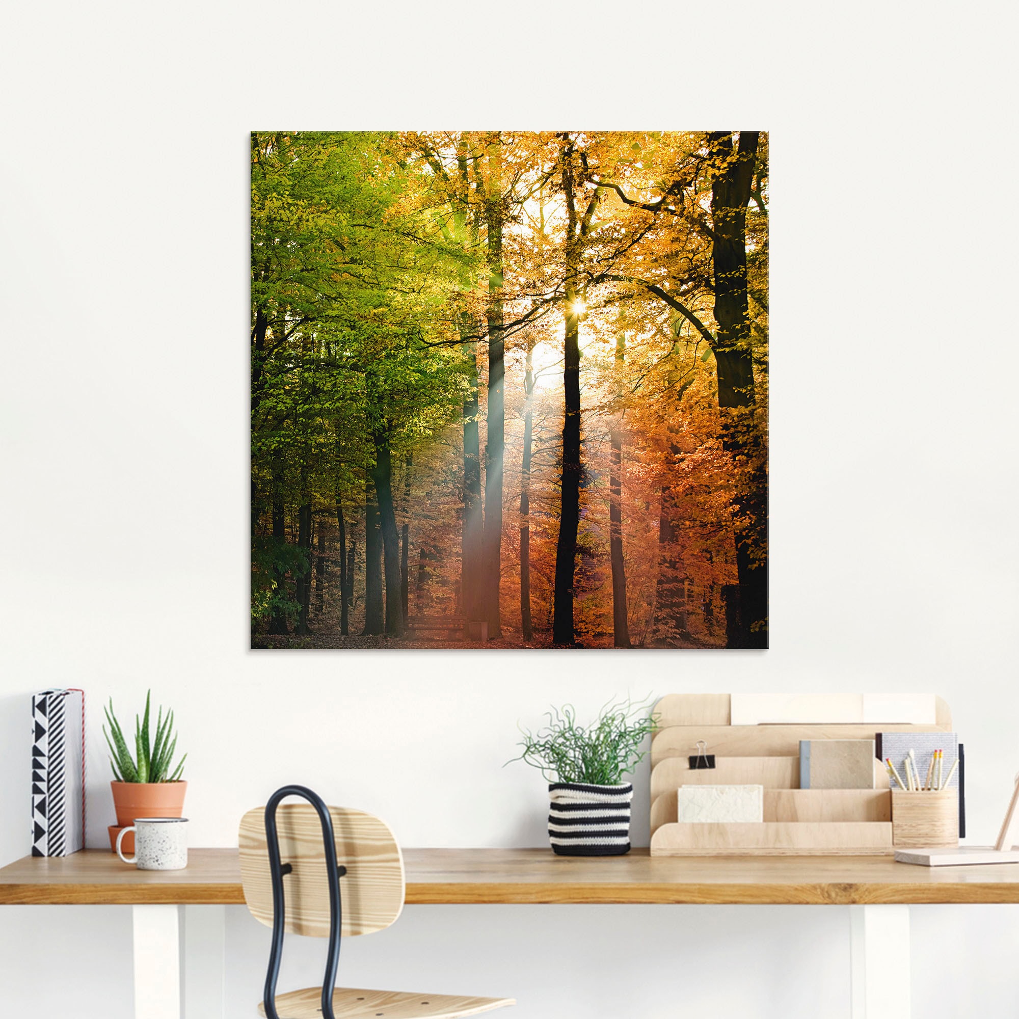 Artland Glasbild "Schöner Herbsttag 2", Wald, (1 St.), in verschiedenen Grö günstig online kaufen