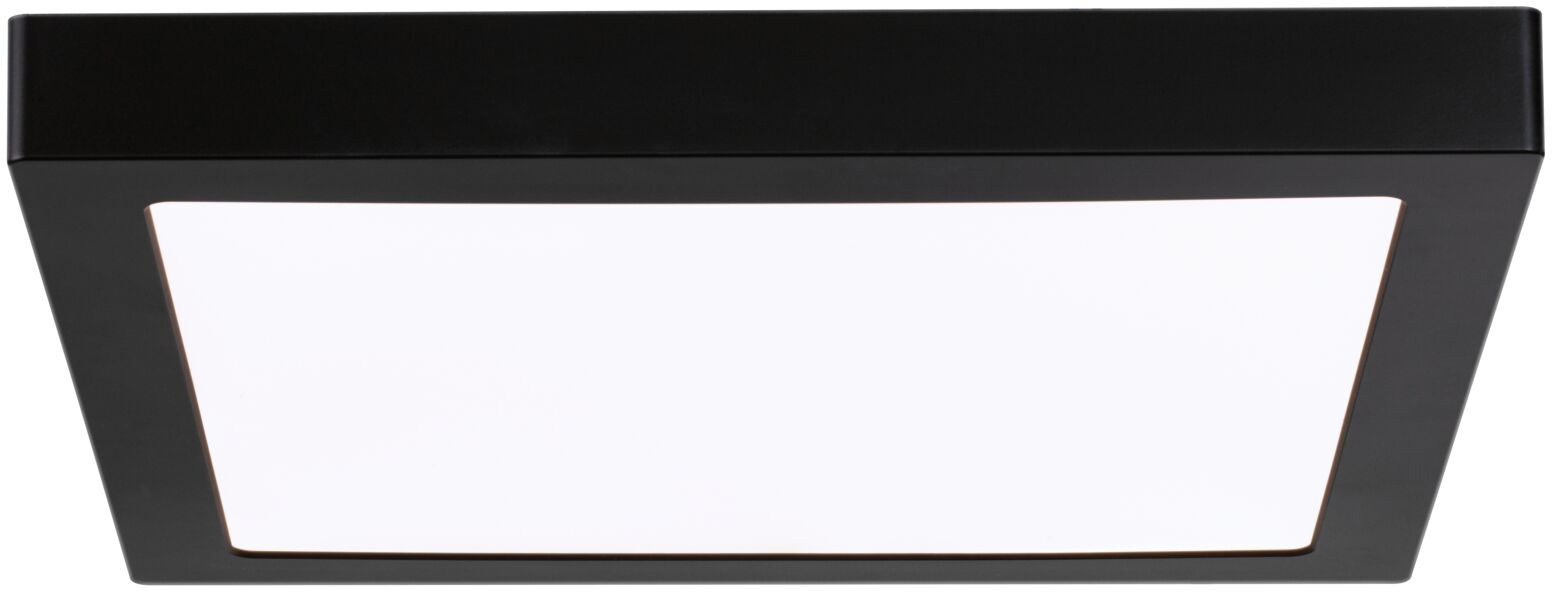 Paulmann LED Panel »Abia«, 1 flammig