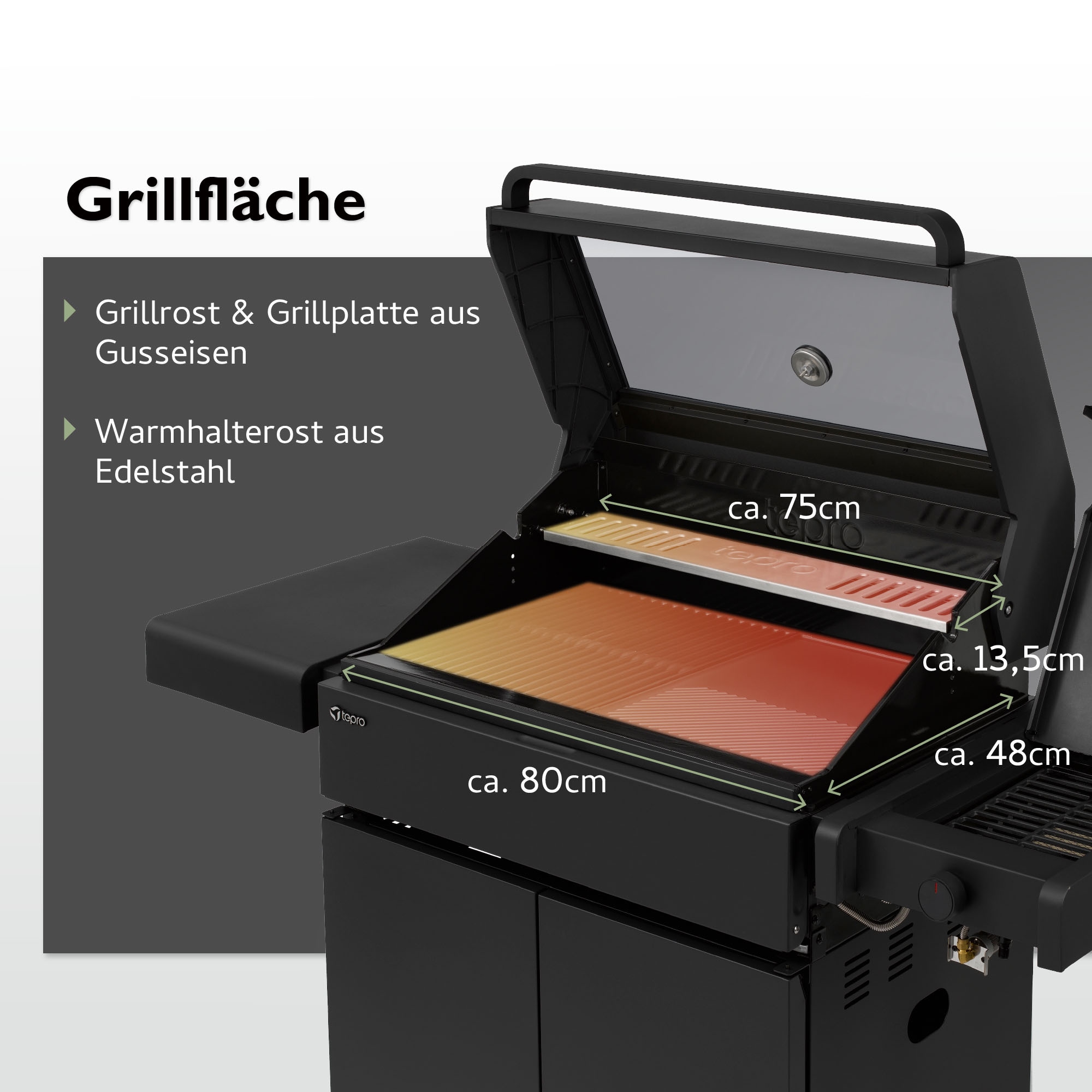Tepro Gasgrill »Hicksville«