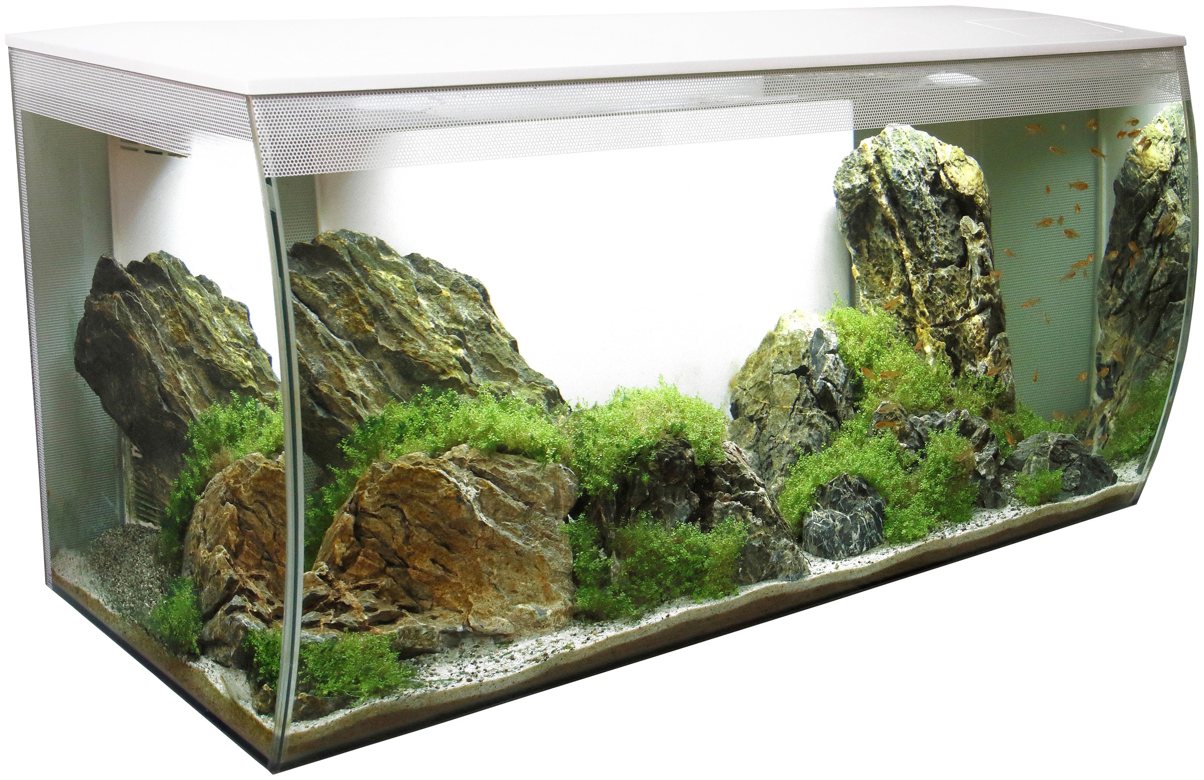 fluval aquarium