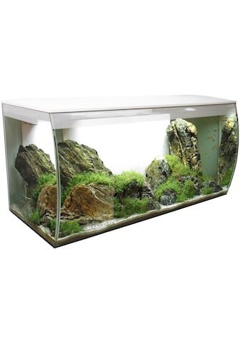 FLUVAL Akvariumas »FLEX 123« BxTxH: 82x40x39 ...