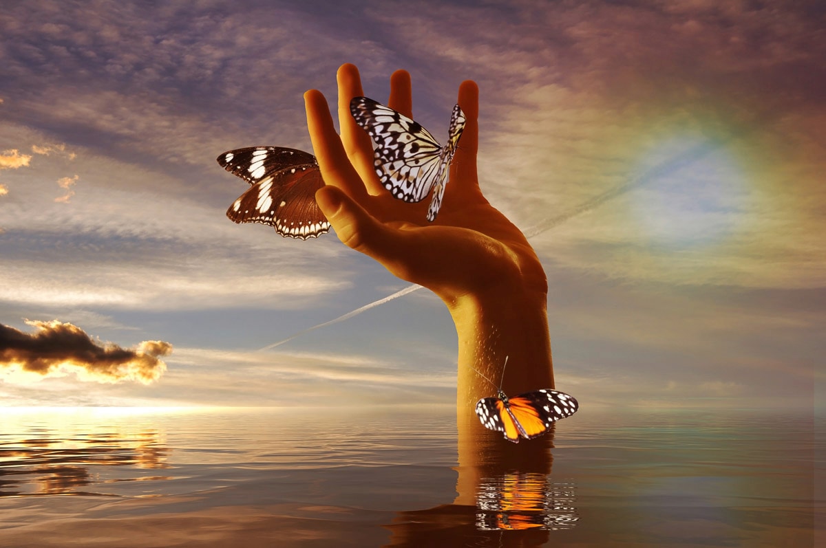 Papermoon Fototapete »Schmetterlinge zähmen«