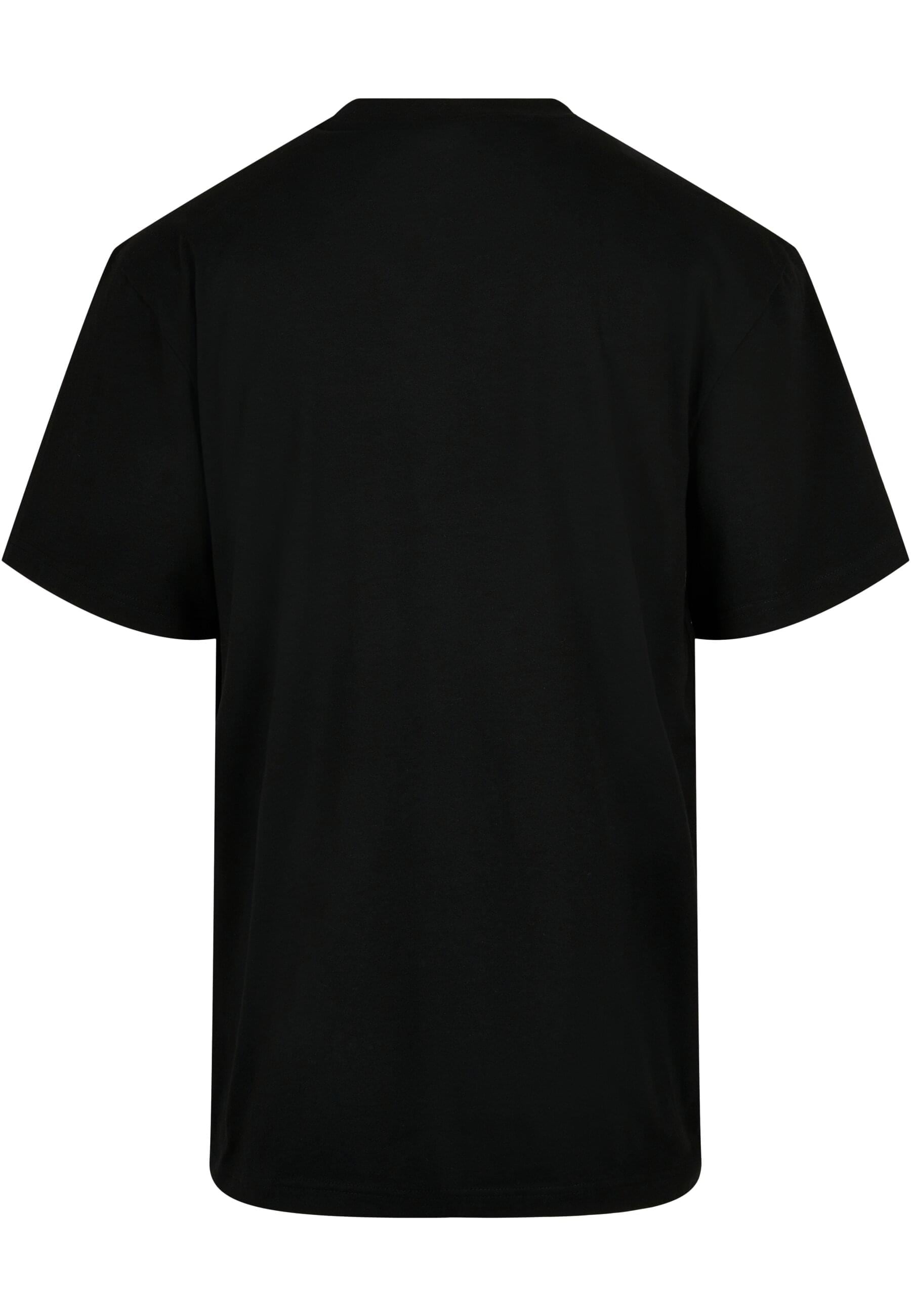 URBAN CLASSICS T-Shirt »Urban Classics Herren Organic Tall Tee«, (1 tlg.)