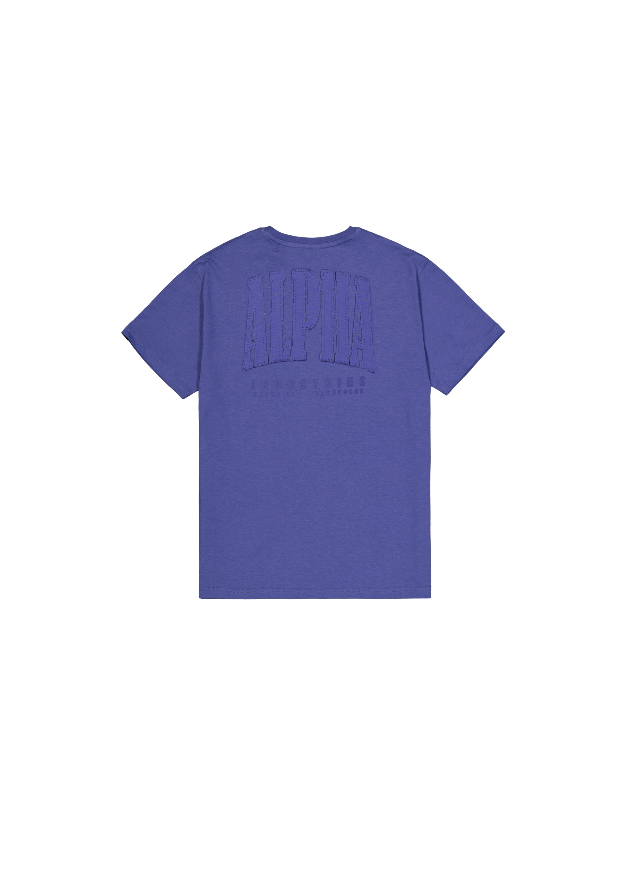 Alpha Industries T-Shirt »Coach T-Shirt Back Embroidery«
