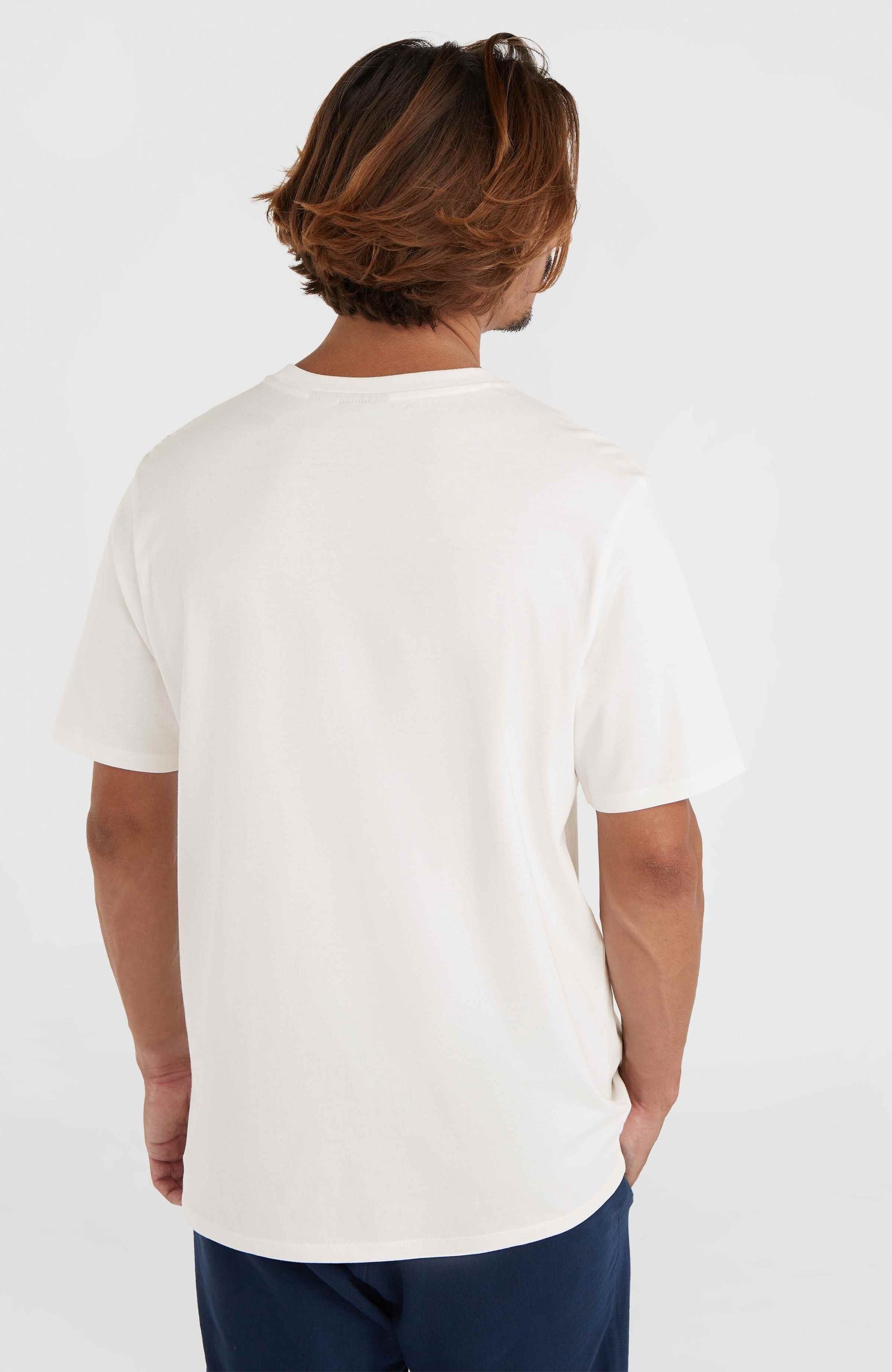 O'Neill T-Shirt »O'NEILL SMALL LOGO T-SHIRT«