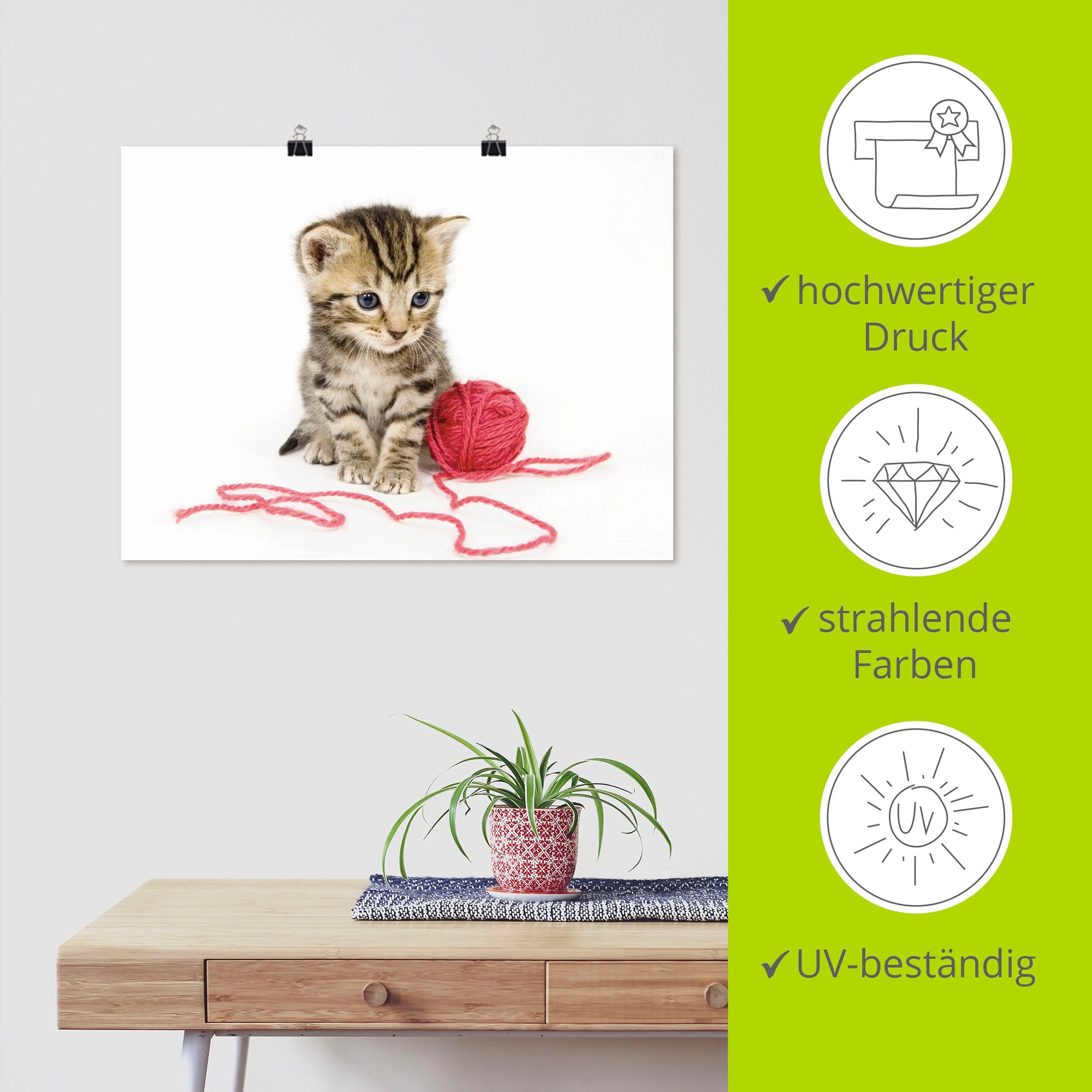 Artland Wandbild »Kätzchen mit rotem Garnball«, Haustiere, (1 St.), als Alubild, Outdoorbild, Poster, Wandaufkleber in verschied. Größen