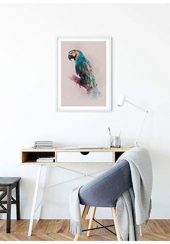 Komar Poster »Animals Paradise Parrot« Tiere...