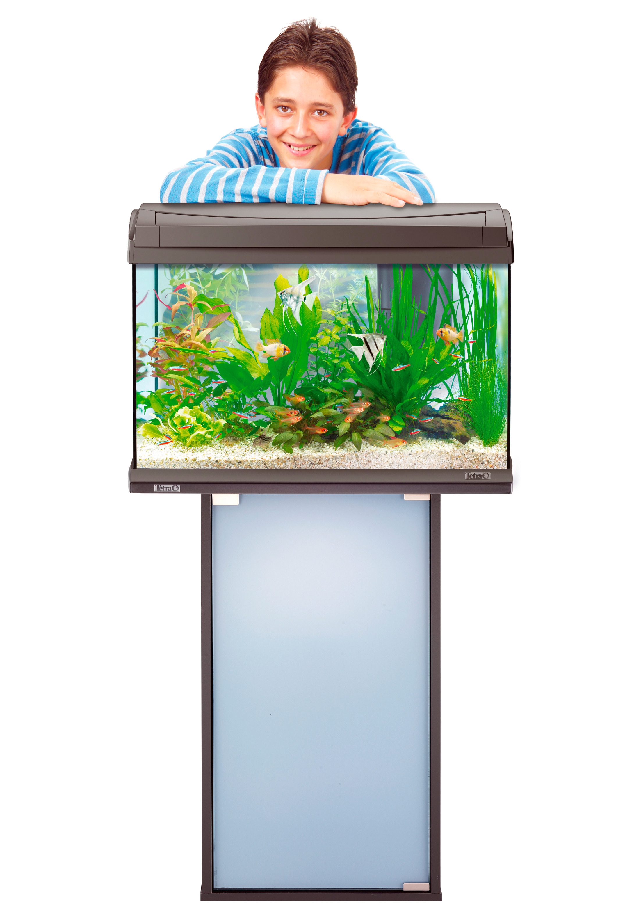 Tetra Aquariumunterschrank »AquaArt«, cm | Rechnung 61,5x31,6x72,5 BxTxH: BAUR auf