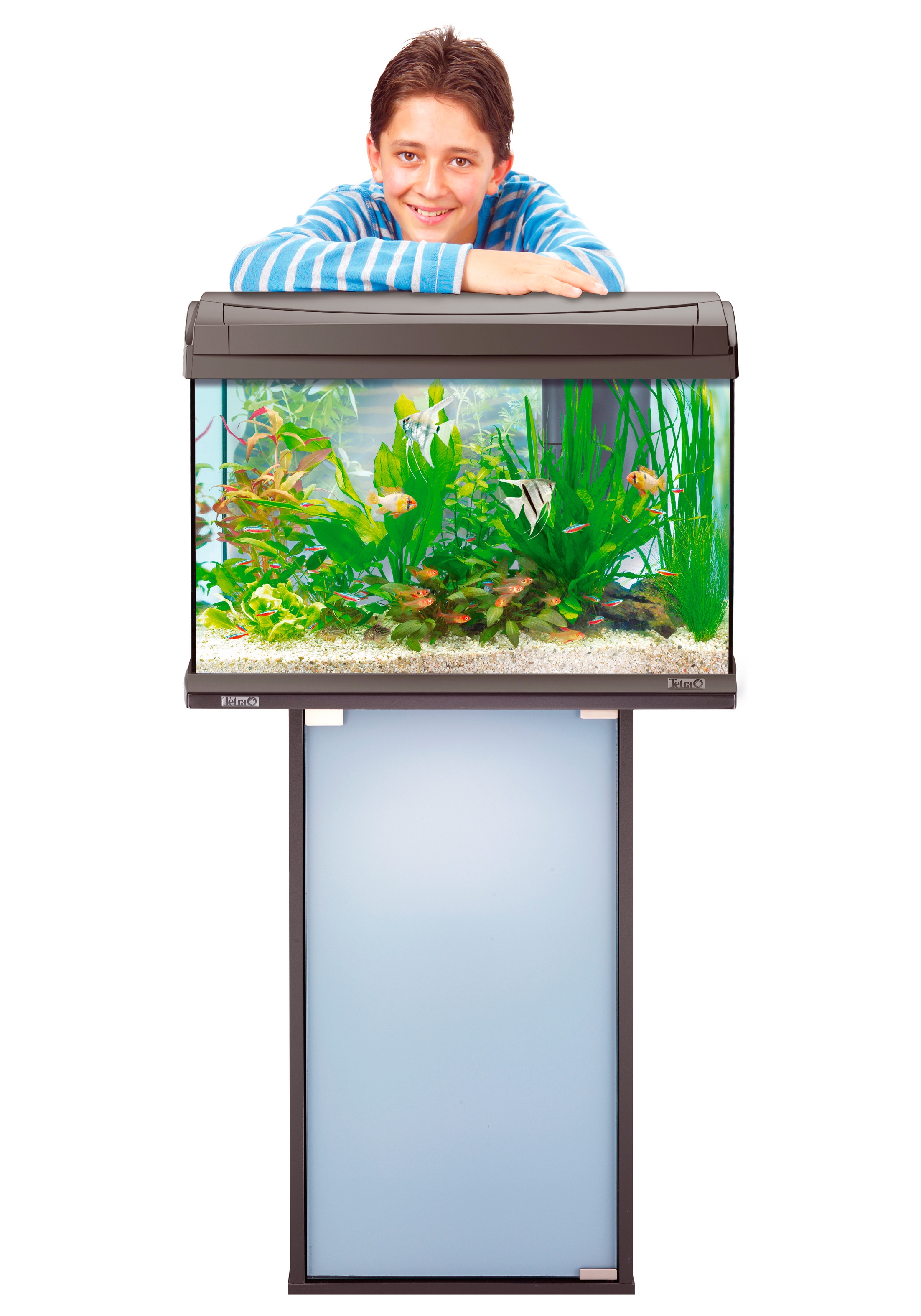 cm BxTxH: auf BAUR »AquaArt«, 61,5x31,6x72,5 Tetra | Rechnung Aquariumunterschrank