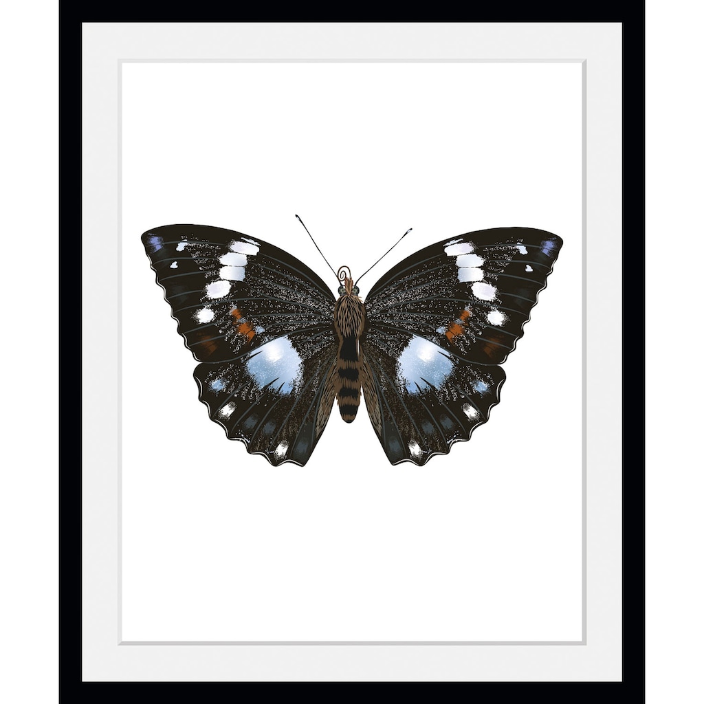 queence Bild »Juju«, Schmetterlinge, (1 St.)