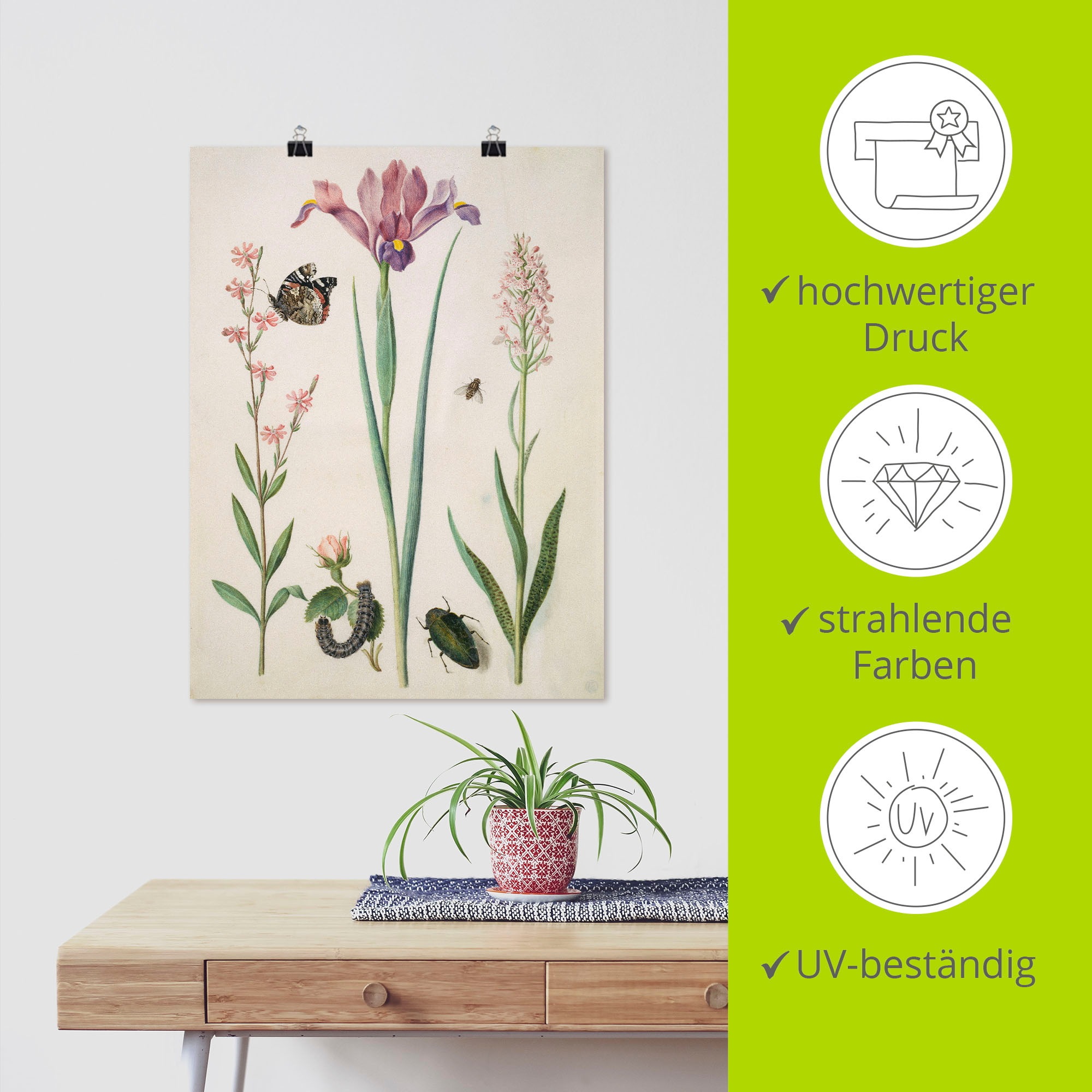 Artland Wandbild »Admiral, Rose Iris Knabenkraut.«, Pflanzen, (1 St.), als Poster, Wandaufkleber in verschied. Größen