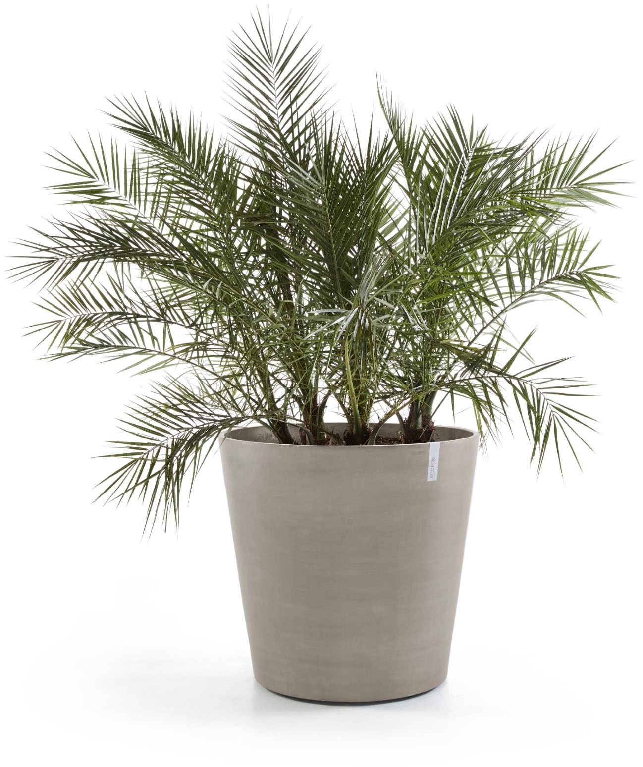 ECOPOTS Blumentopf »AMSTERDAM WHEELS Taupe« BxTxH: 60x60x56 cm