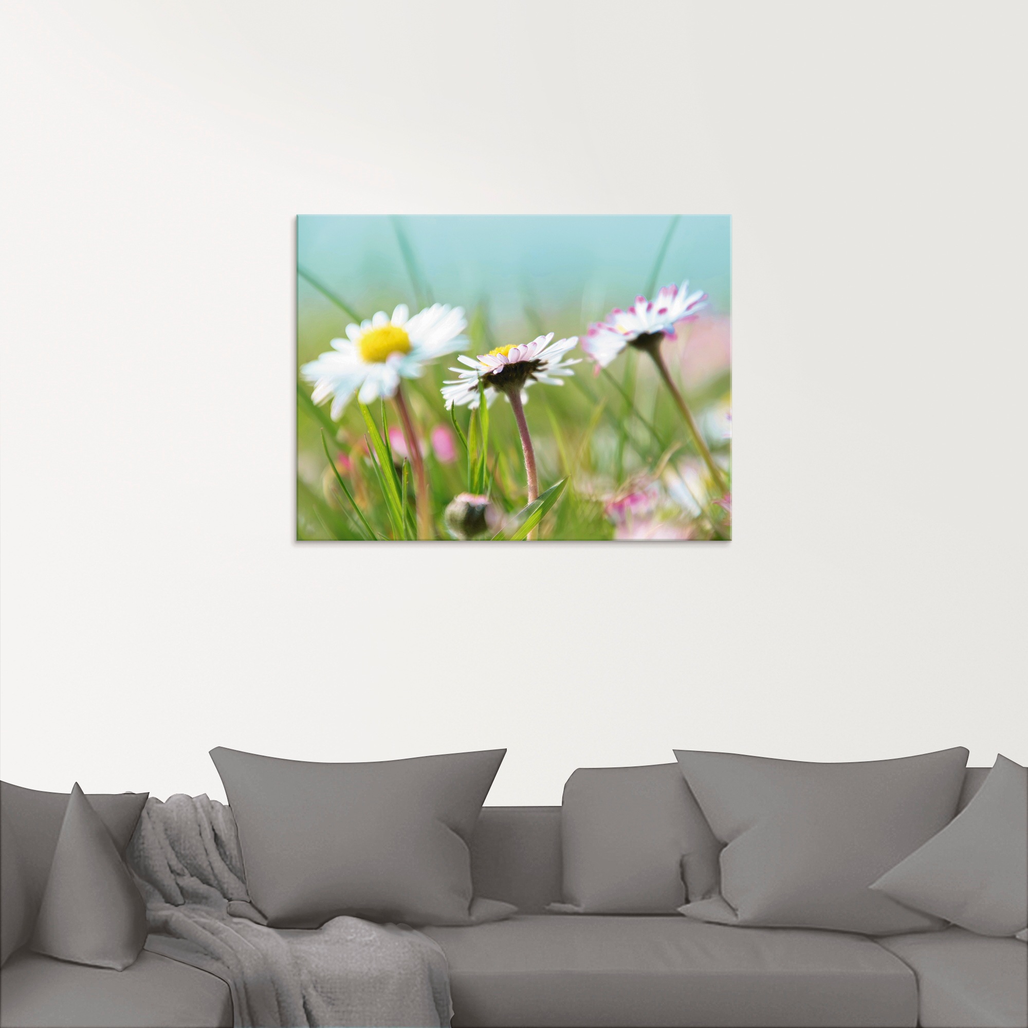 Artland Glasbild "Gänseblümchen Romantik" Blumen 1 Stk. tlg. in verschieden günstig online kaufen