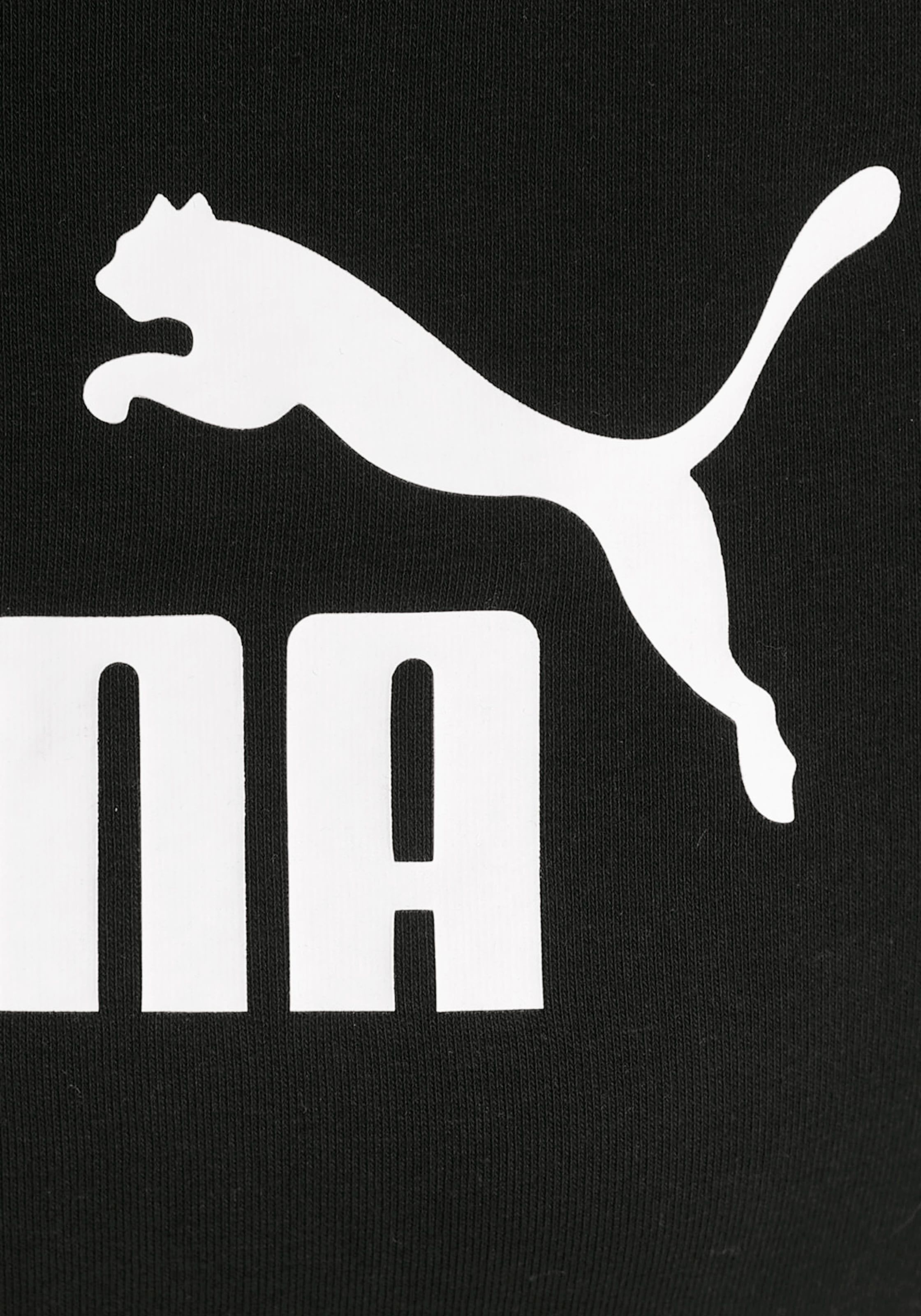 PUMA Kapuzensweatshirt »ESS ELONGATED LOGO HOODIE TR«