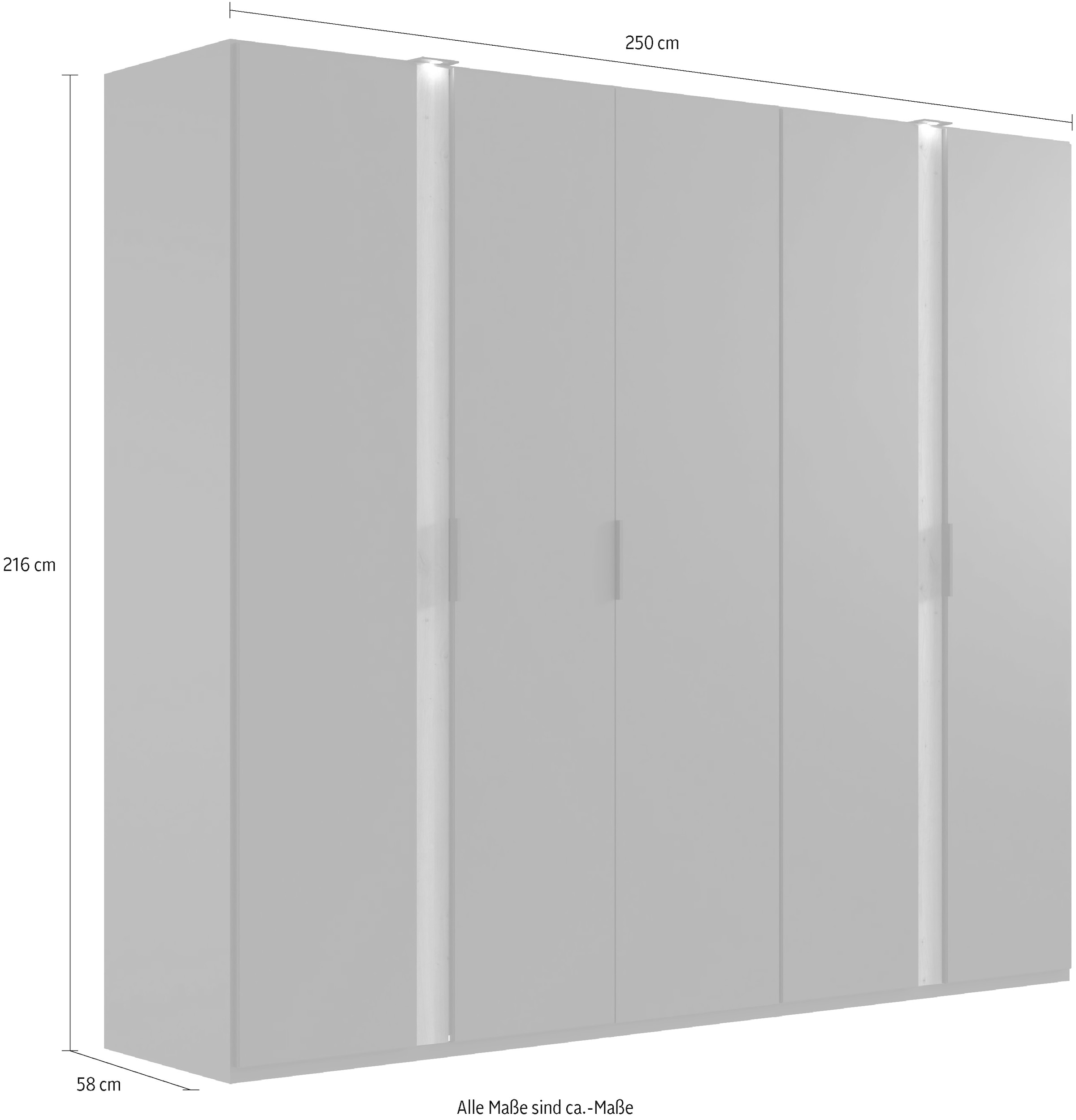 Wimex Drehtürenschrank »Rimini by fresh to go, Kleiderschrank mit Spiegel, Metallgriffe«, inklusive LED Beleuchtung, B/T/H 250/58/216cm, weiß oder graphit