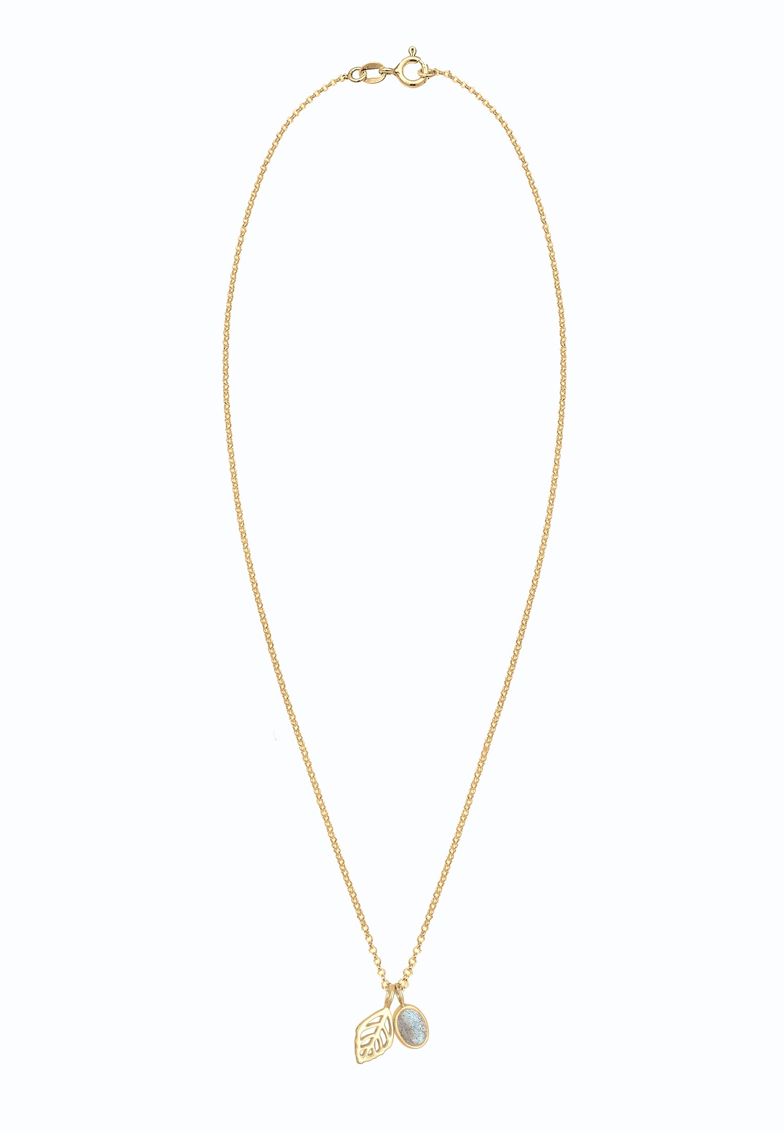 Elli Collierkettchen »Erbskette Blatt und Labradorit Edelstein 925 Sterling Silber«