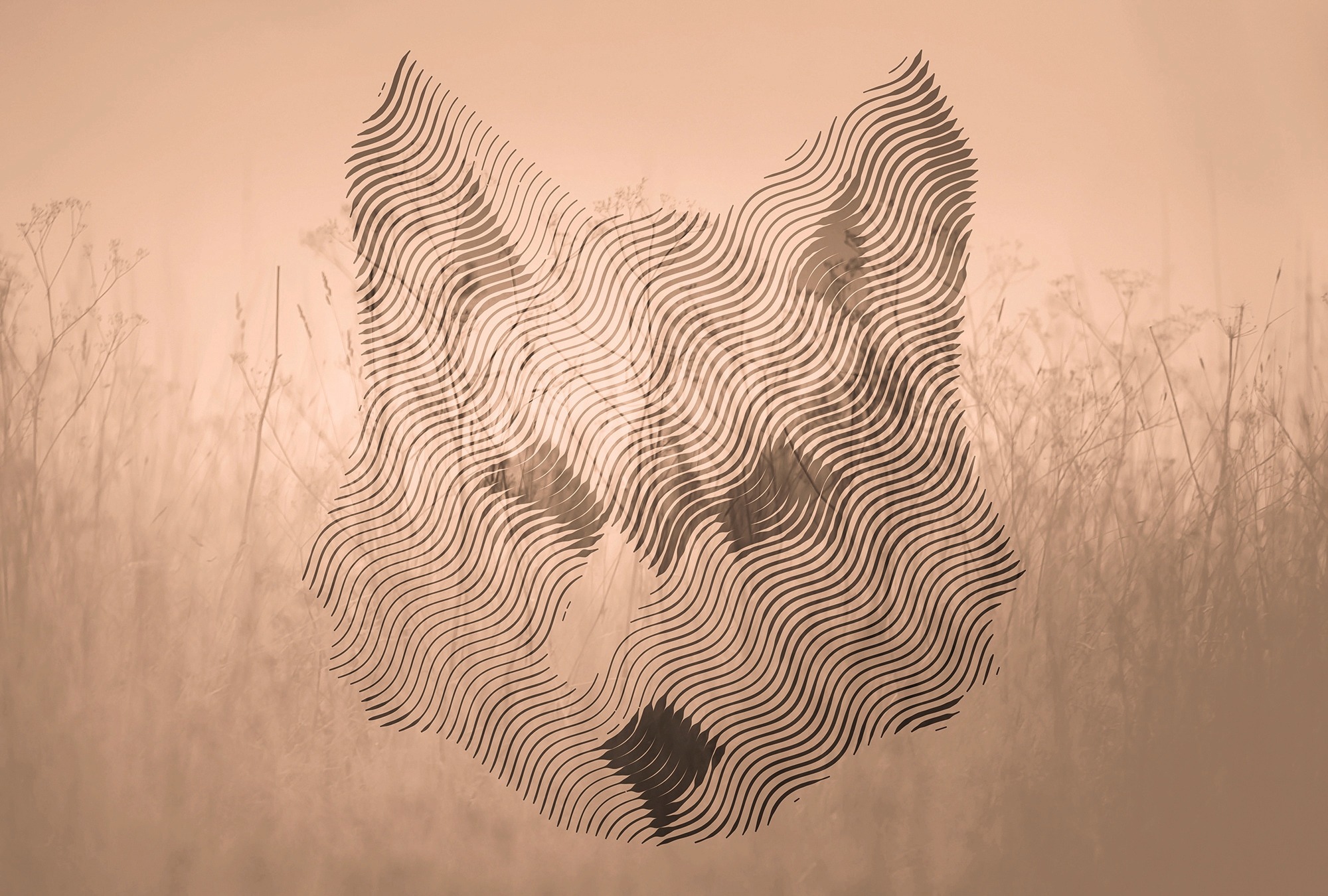 Architects Paper "Atelier 47 Fox Graphic 2" abstrakt glatt Vlies, Wand, Schräge, Decke
