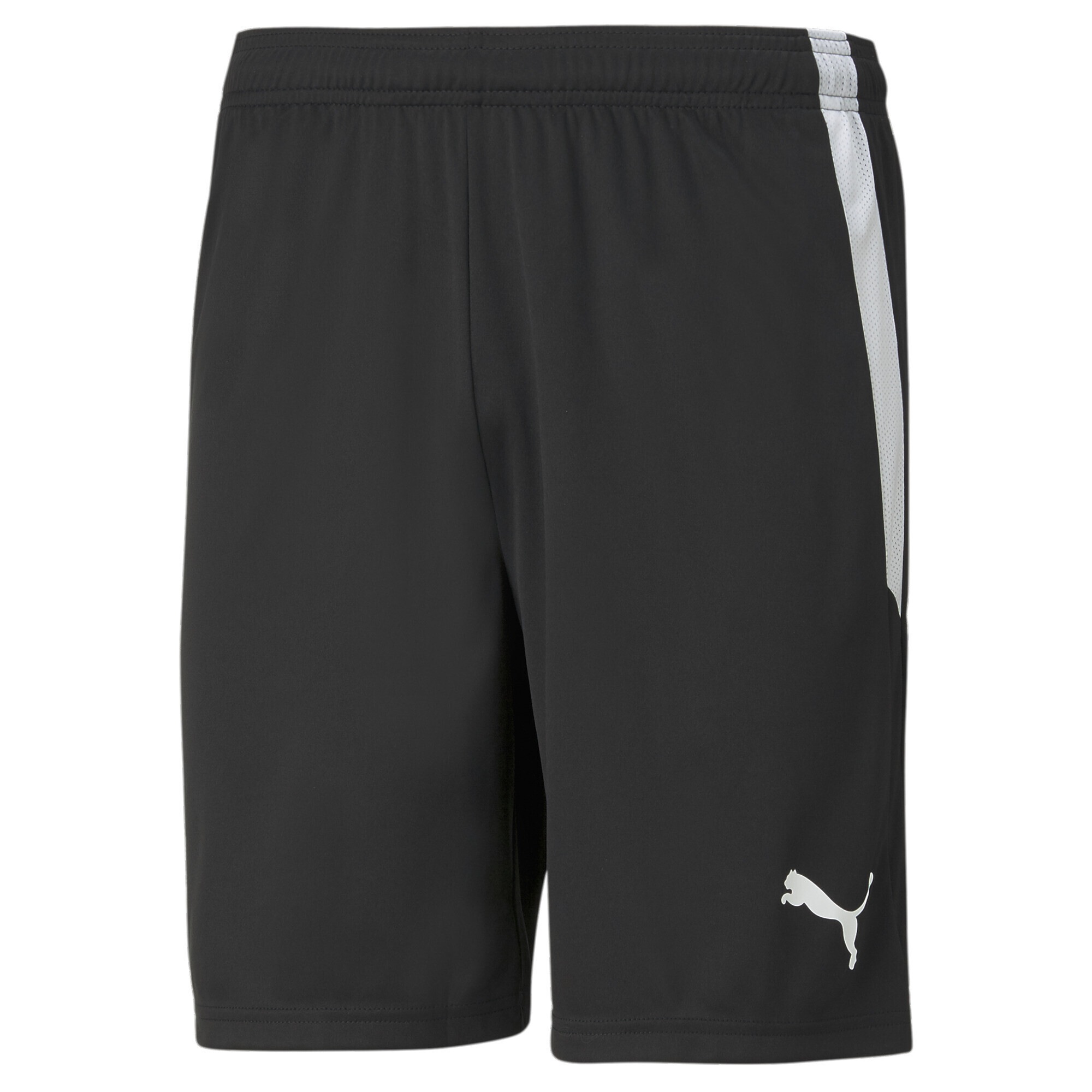 PUMA Sporthose "teamLIGA Fußballshorts Herren"