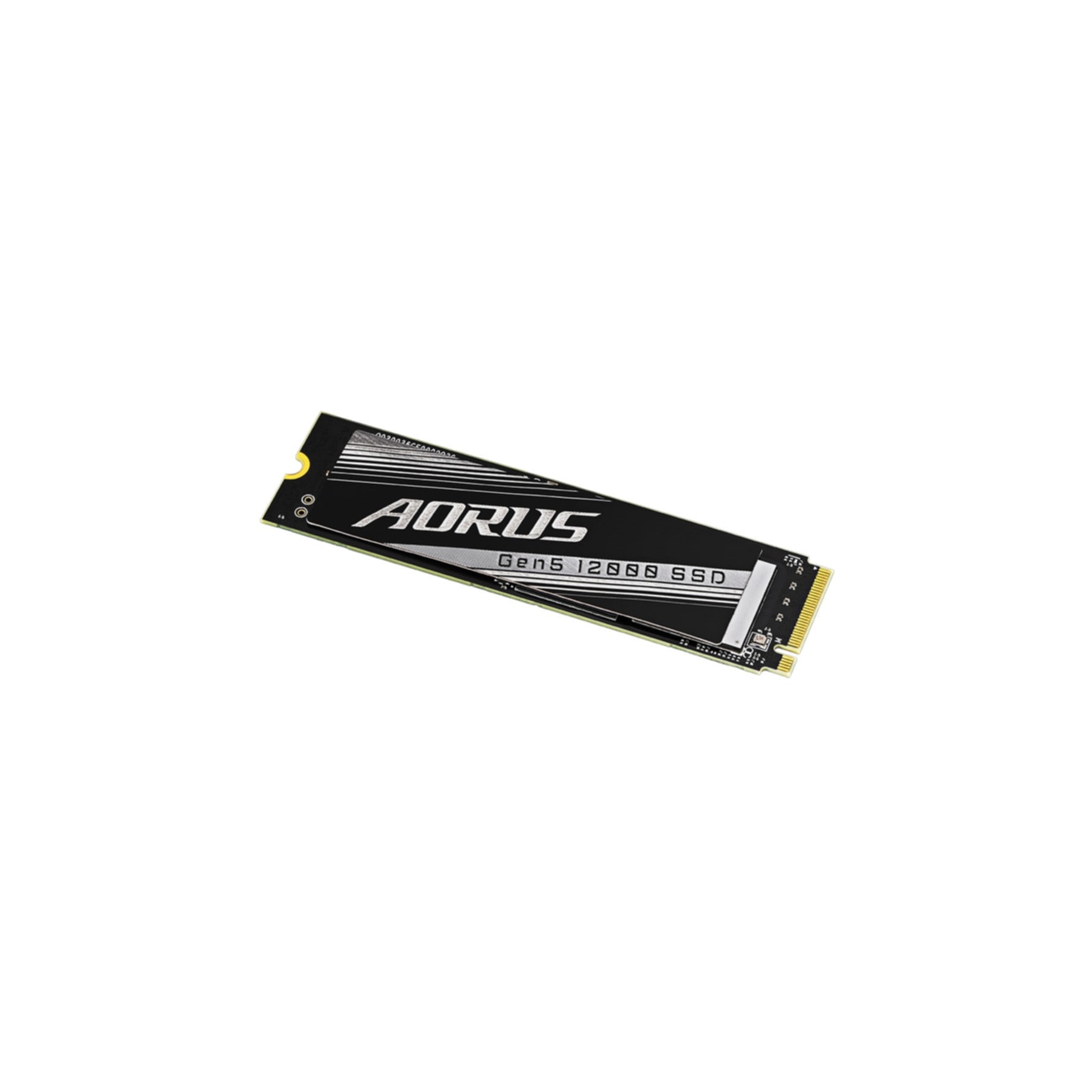 Gigabyte interne SSD »AORUS Gen5 12000«