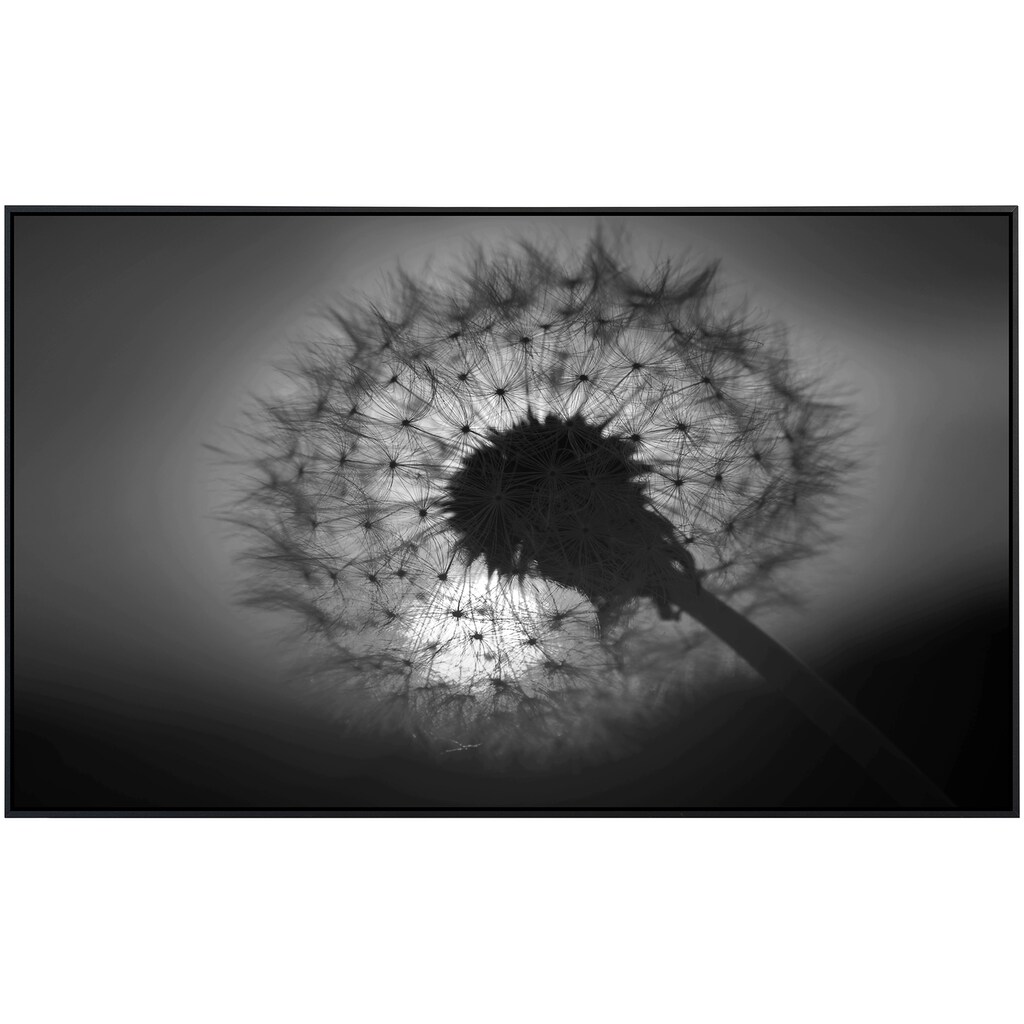 Papermoon Infrarotheizung »Blume Schwarz & Weiß«