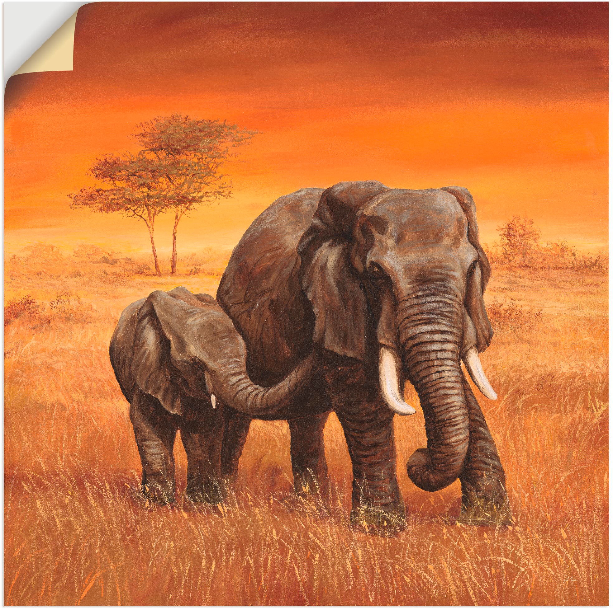 Artland Wandbild "Elefanten II", Wildtiere, (1 St.), als Alubild, Outdoorbi günstig online kaufen