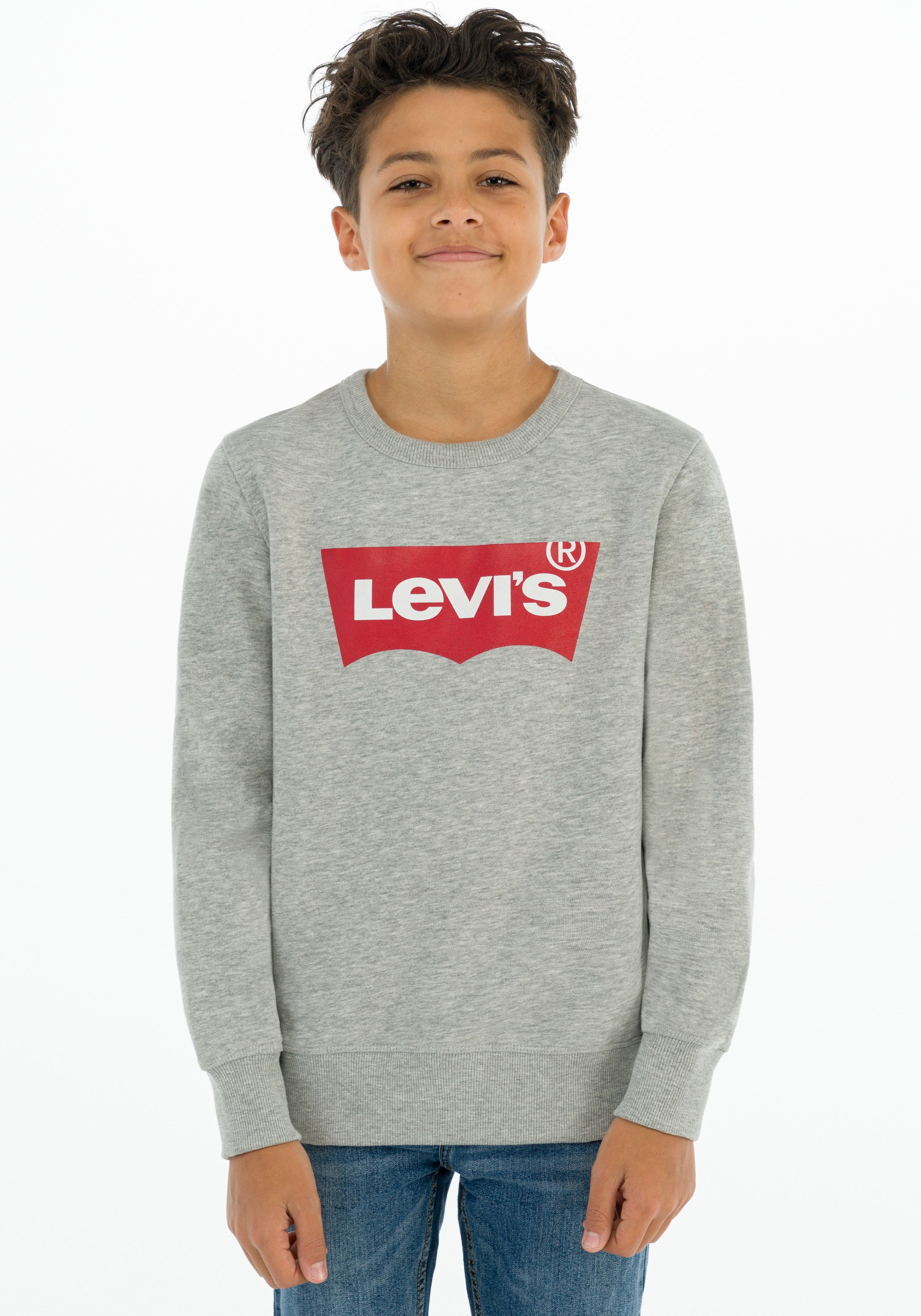 Levi's® Kids Sweatshirt »LVB LVB FRENCH TERRY BATWING«, mit großem Logo
