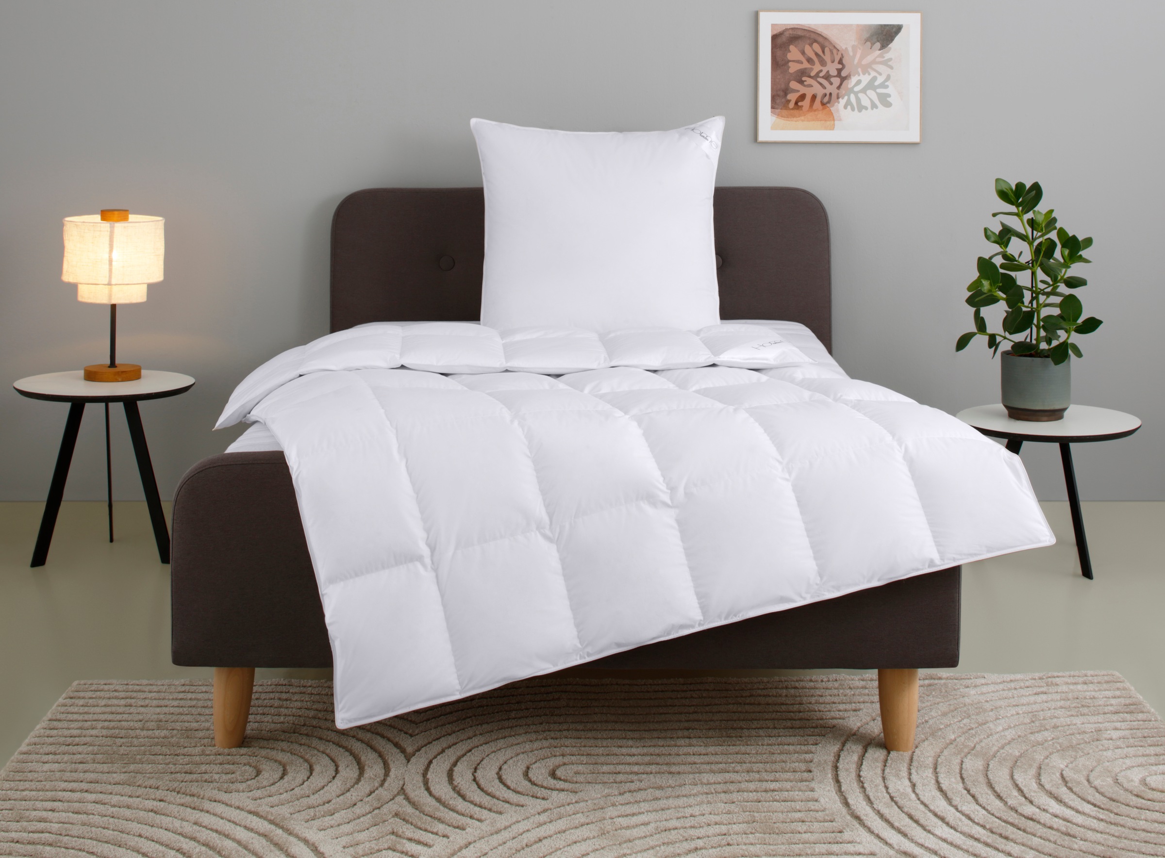 OTTO home Gänsedaunenbettdecke + Kopfkissen "Litrone Bettdecke 135x200 cm, 155 x220 cm" Set mit Kissen 40x80 cm, 80x80 cm, Frühling, Sommer, Herbst, Winter