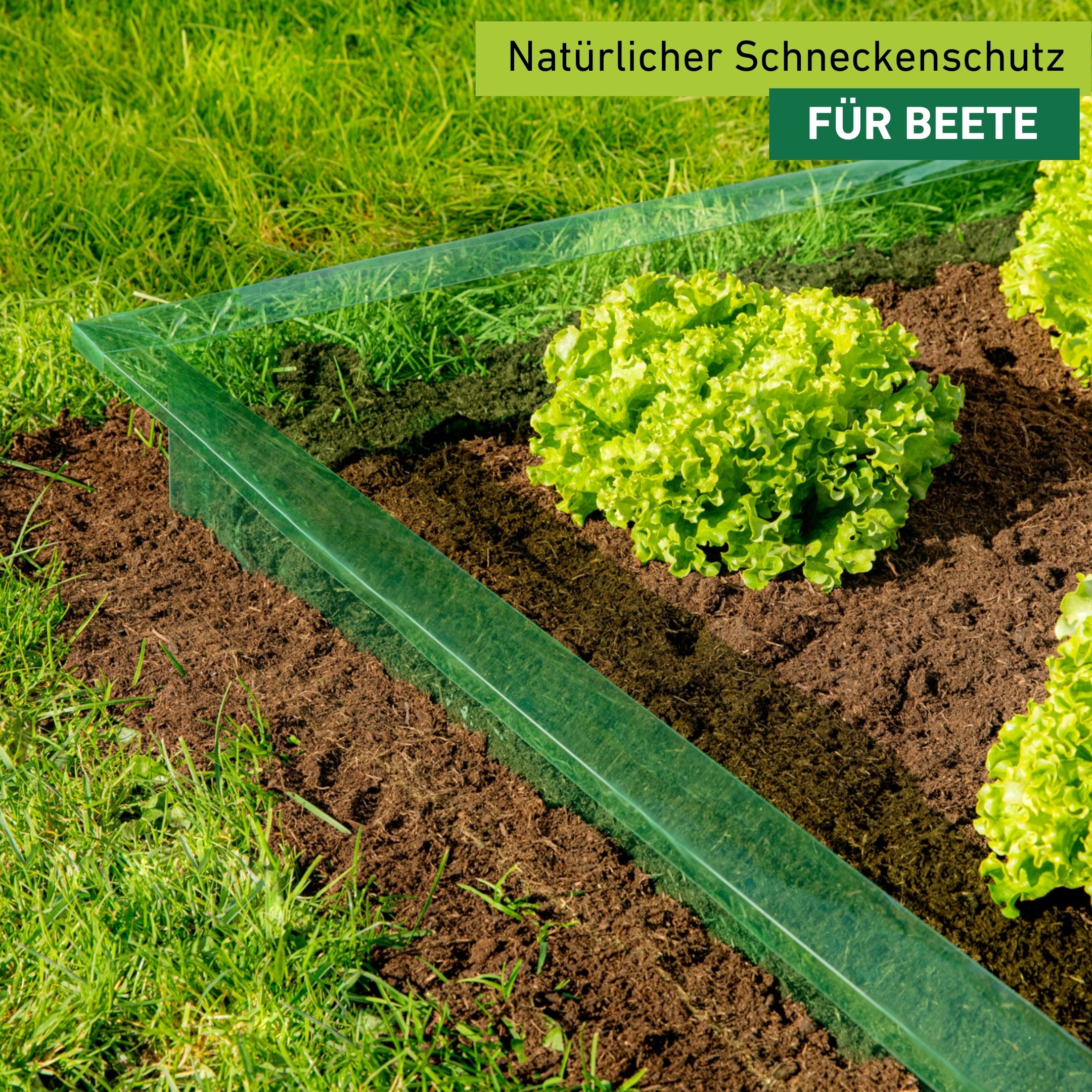 Windhager Schneckenkante »Schneckenbarriere und Schneckenschutz« wiederverwendbare Schneckenfalle, 20cm x 14m, grün