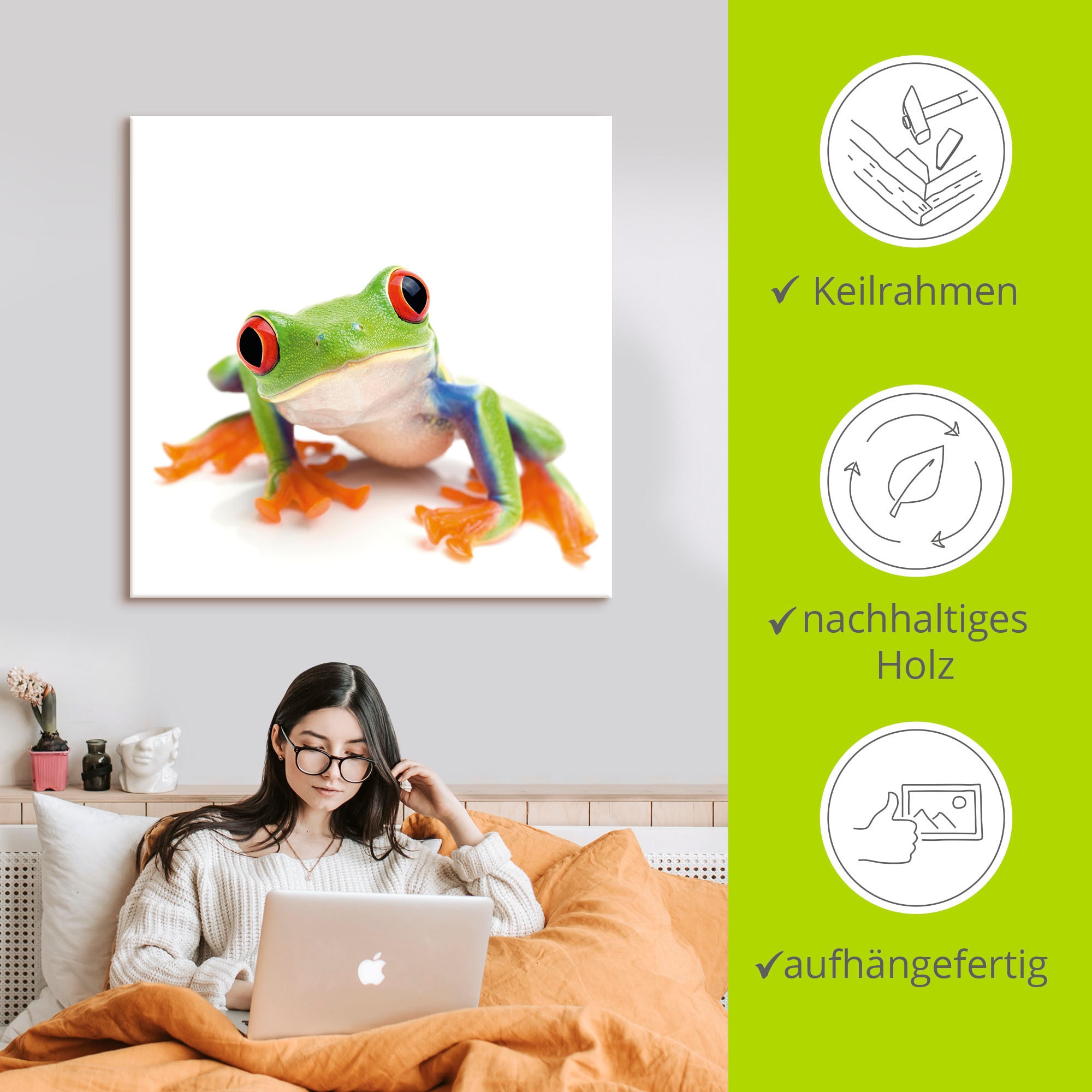 Artland Wandbild »Großaufnahme eines Frosches vor weiß«, Wassertiere, (1 St.), als Alubild, Outdoorbild, Leinwandbild in verschied. Größen
