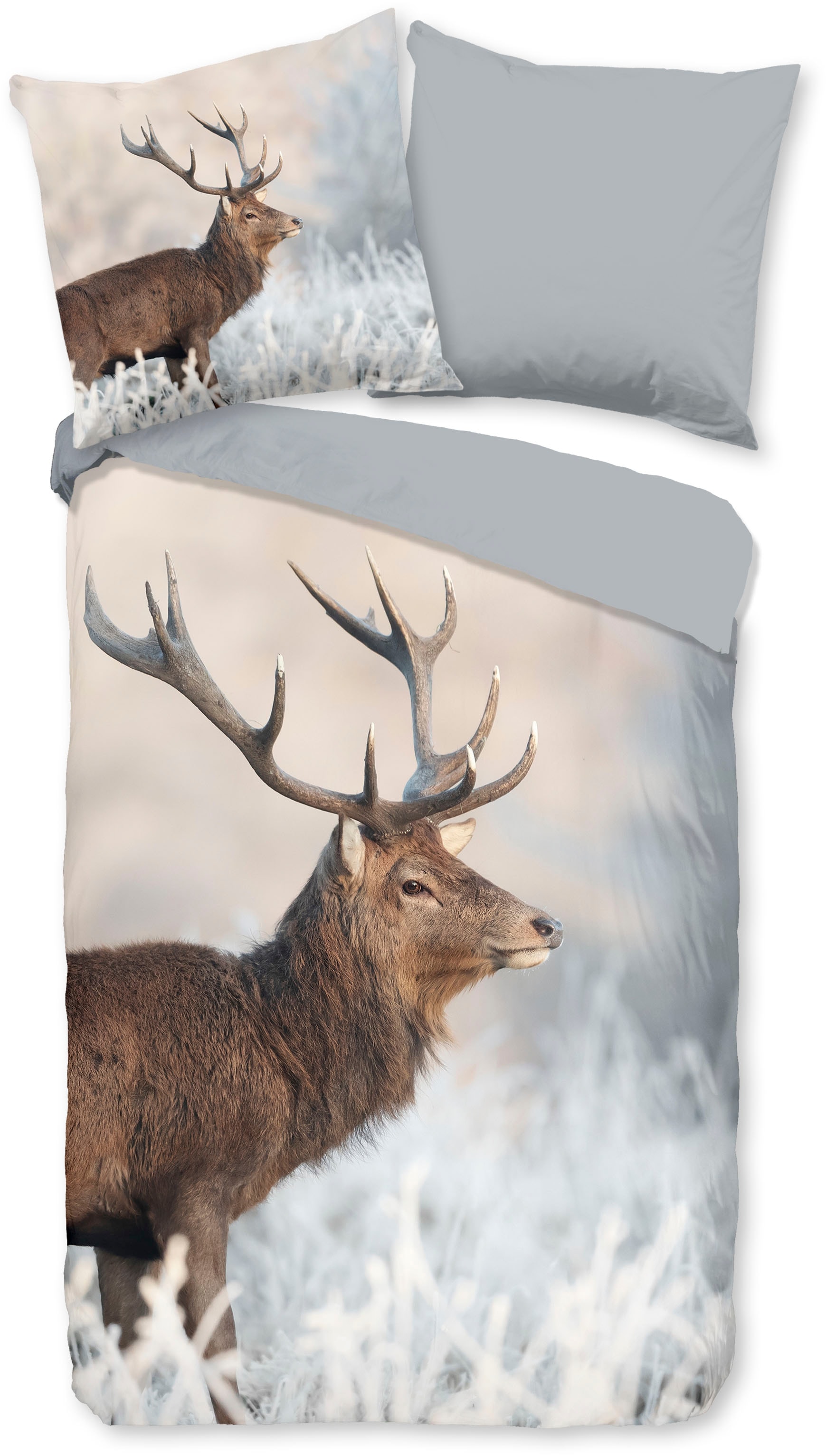 good morning Wendebettwäsche "Wess" 2 Stk. tlg. Baumwolle, Renforcé, Reißve günstig online kaufen