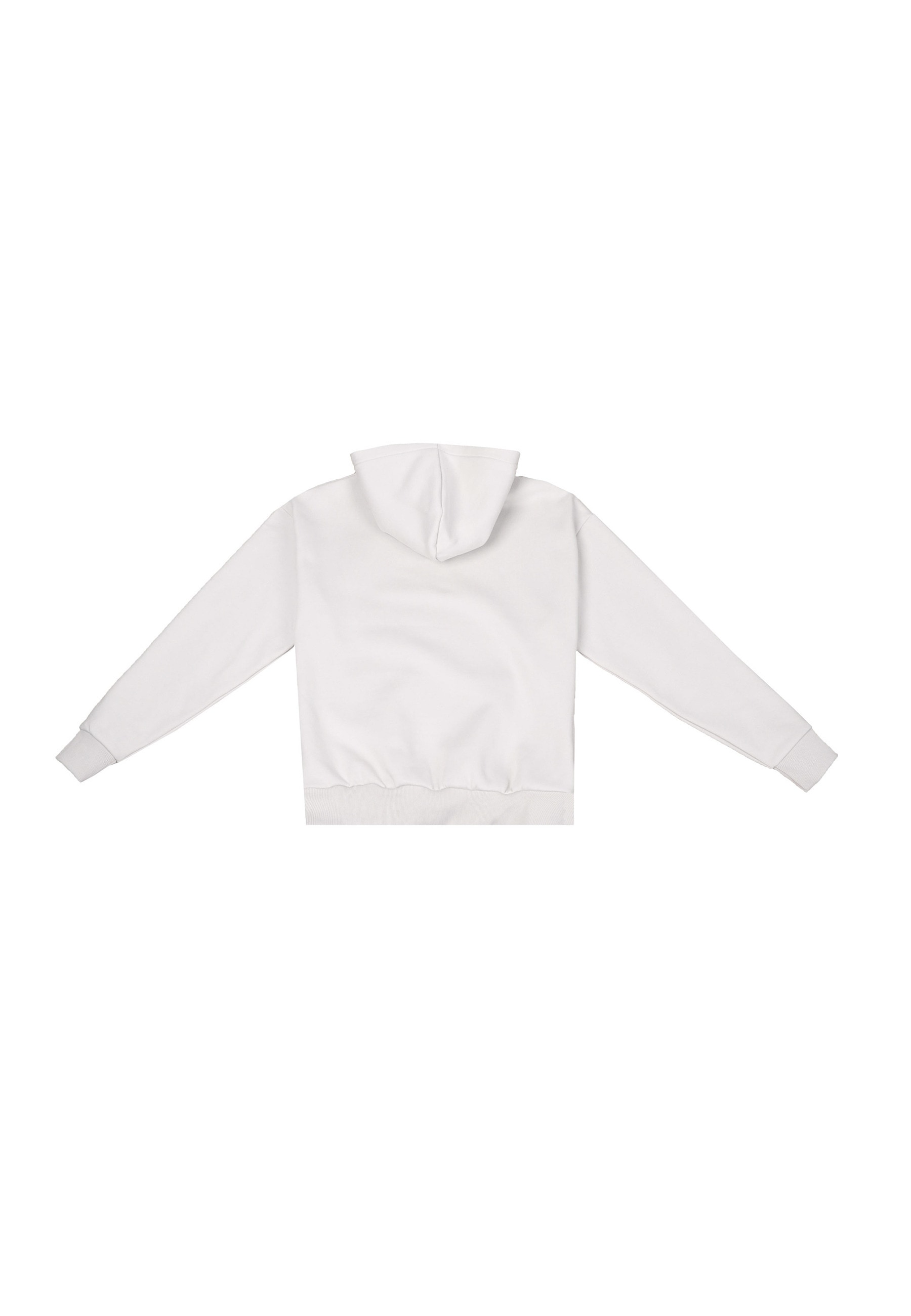 Dropsize Kapuzensweatshirt »Dropsize HEAVY OVERSIZE METAL PATCH HOODIE«, 1 Stk.
