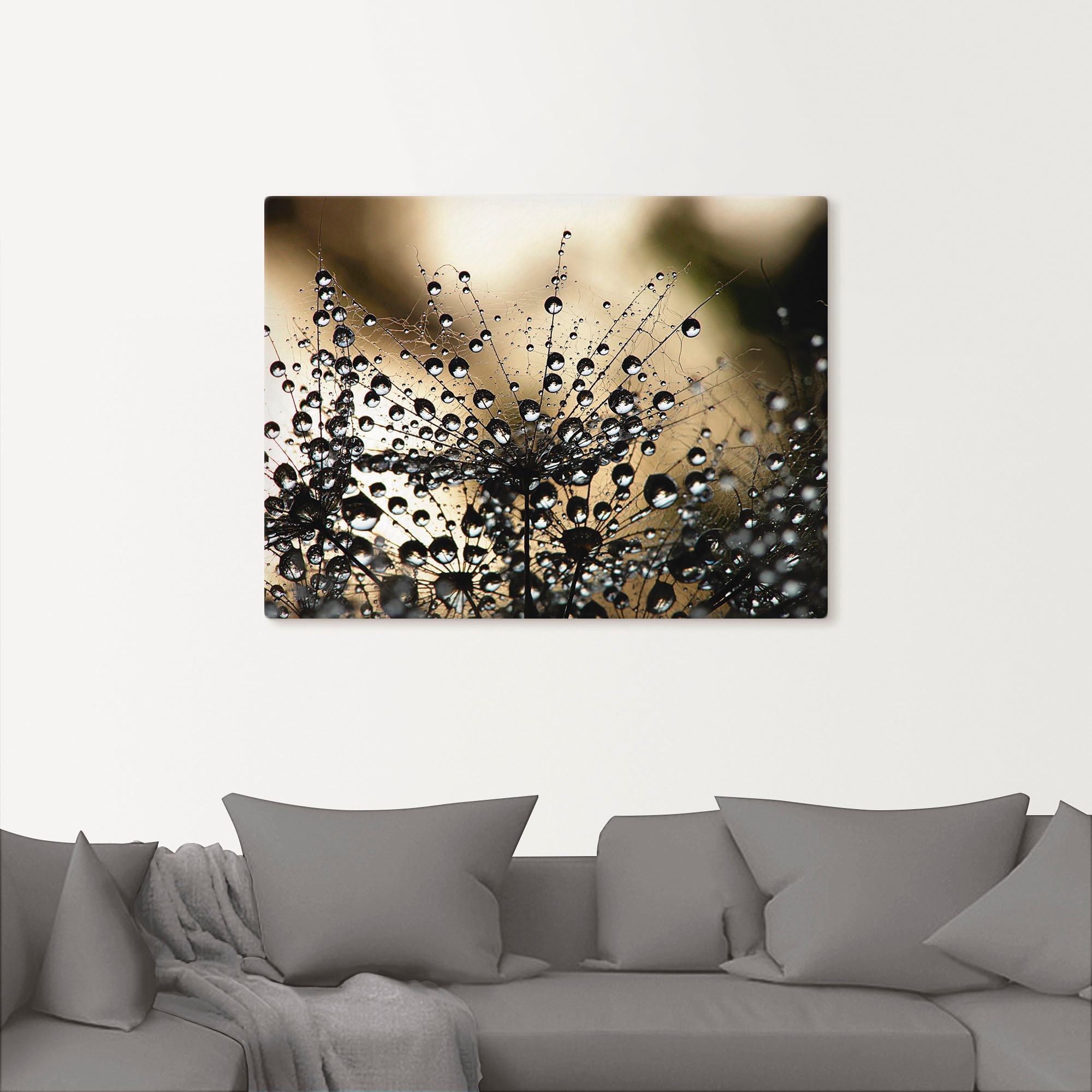 Artland Wandbild »Nasser Löwenzahn«, Blumen, (1 St.), als Alubild, Outdoorbild, Leinwandbild, Poster, Wandaufkleber