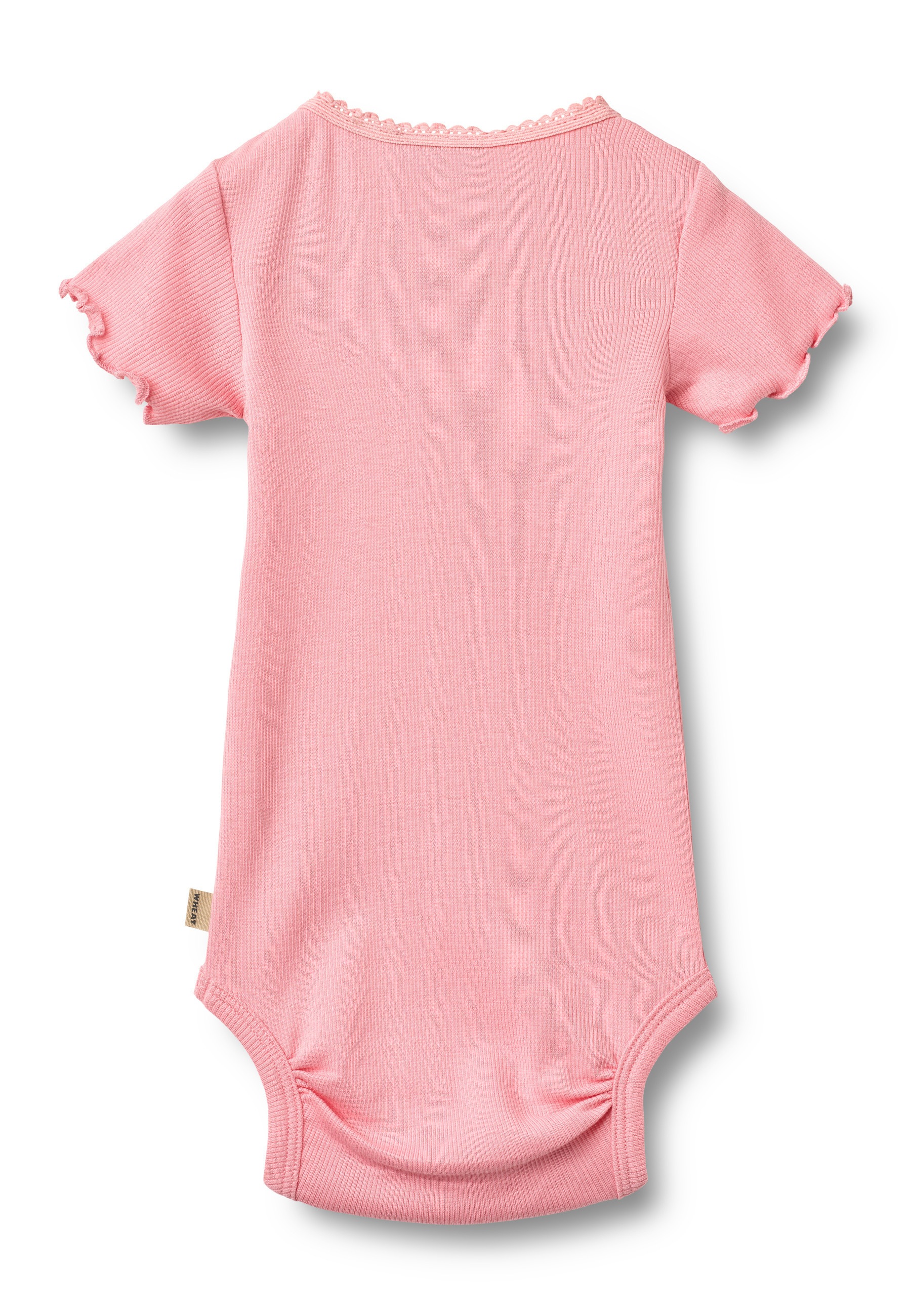 WHEAT Blusenbody »WHEAT Rippkörper S/S Edna«