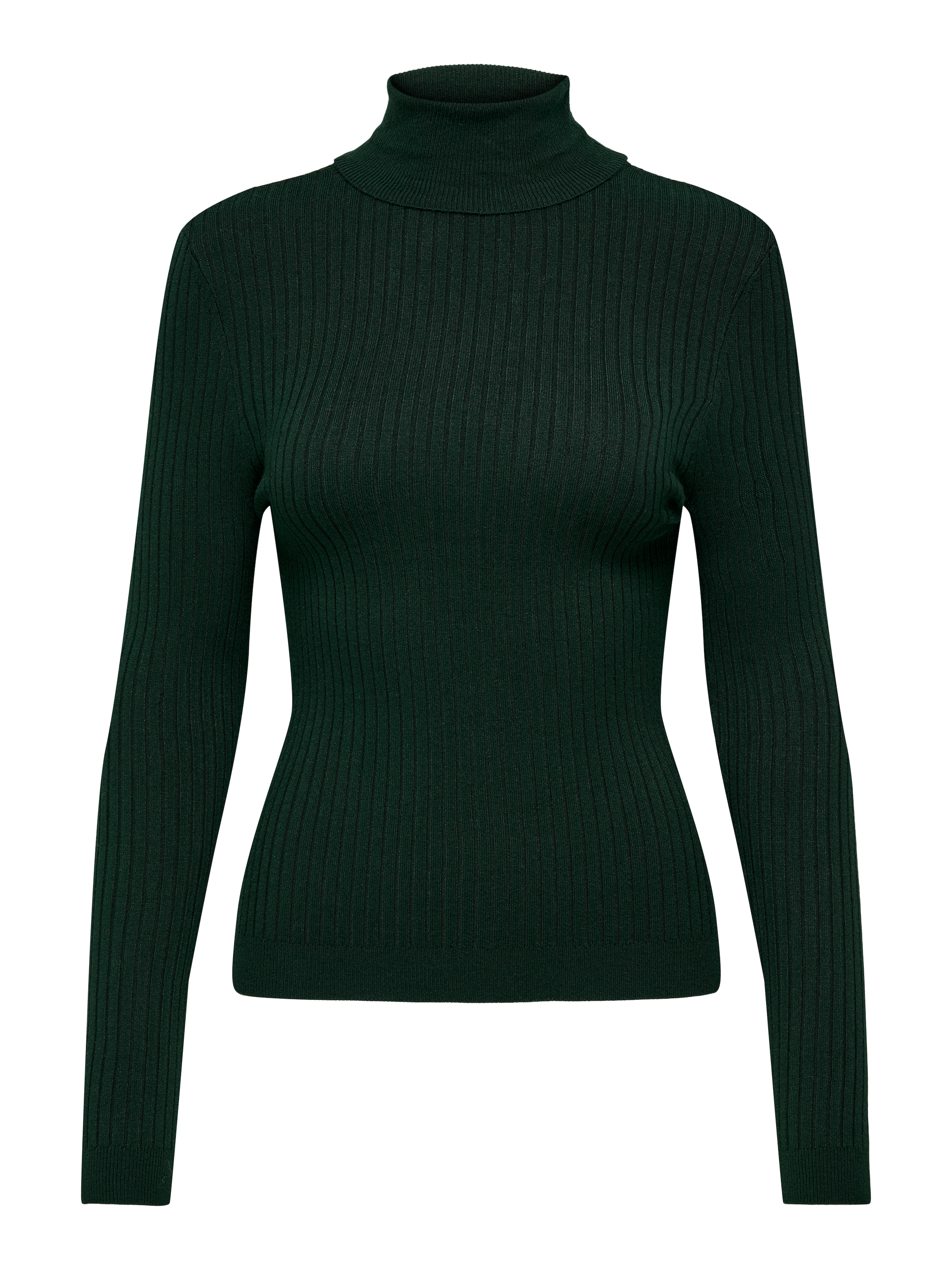 ONLY Rollkragenpullover »ONLKAROL L/S ROLLNECK PULLOVER KNT NOOS«