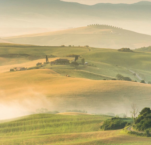 EXPRESS KÜCHEN Küchenrückwand "Toscana", B/H: 60cm x 55,9cm, grün, Spritzschutzwände